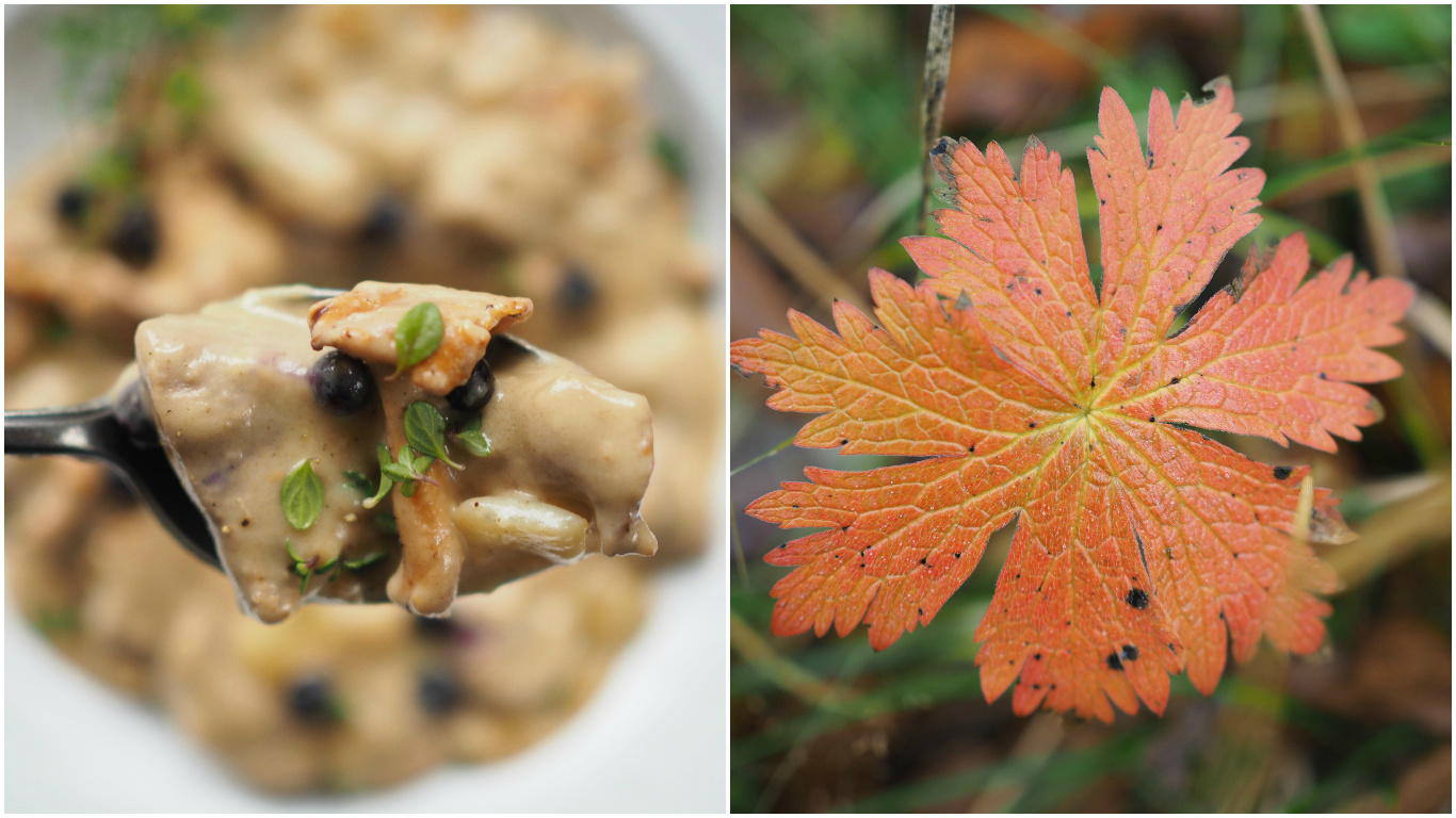 Norwegian Moose Stew (Elggryte)