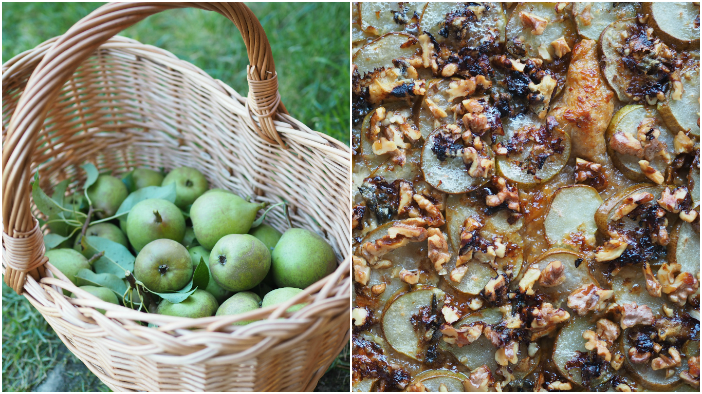 Savory Pear Tart with local honey, blue cheese, walnuts and a whole wheat puff pastry (Pæreterte)