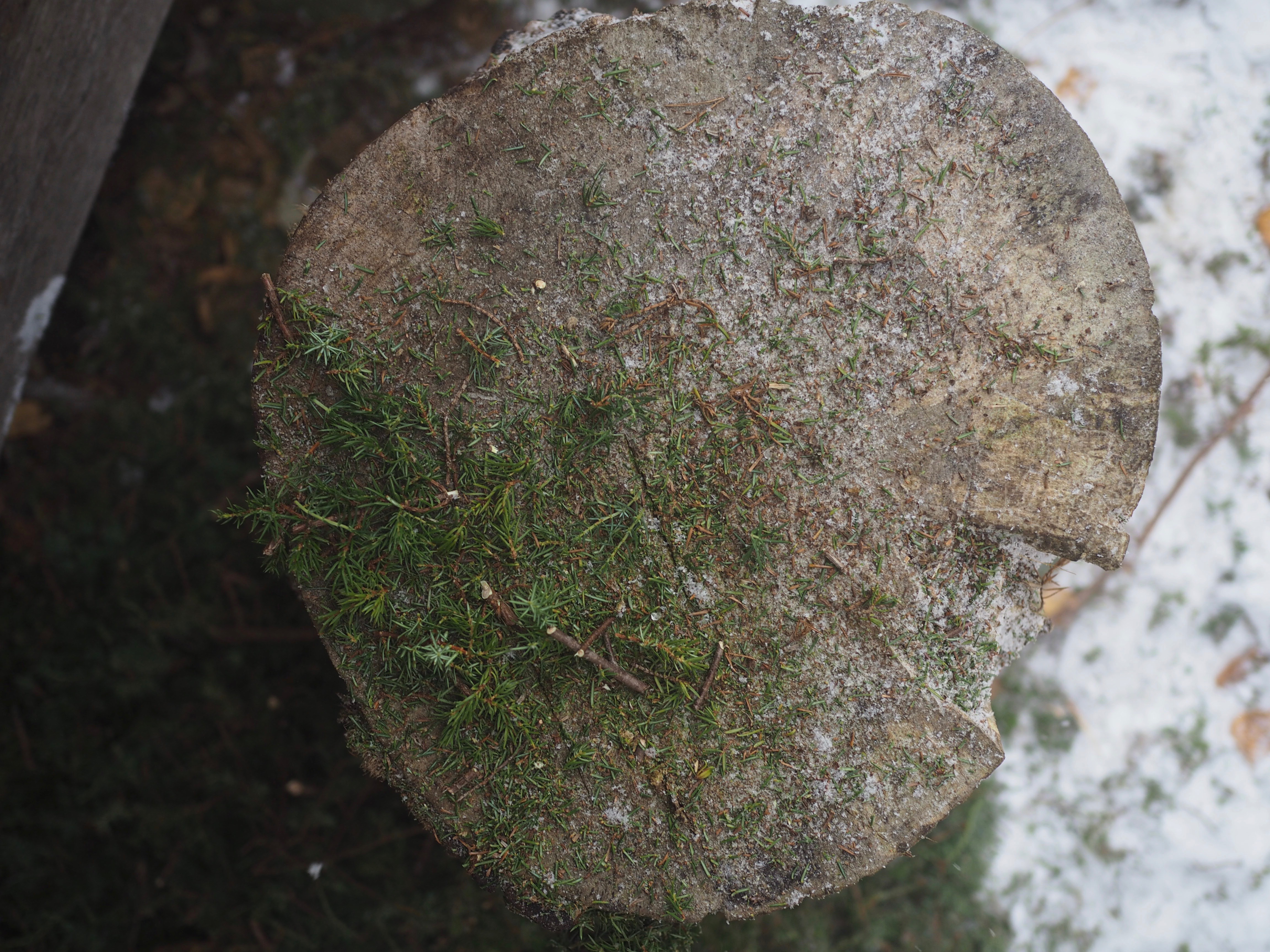 The Smokehouse (Røykhuset)