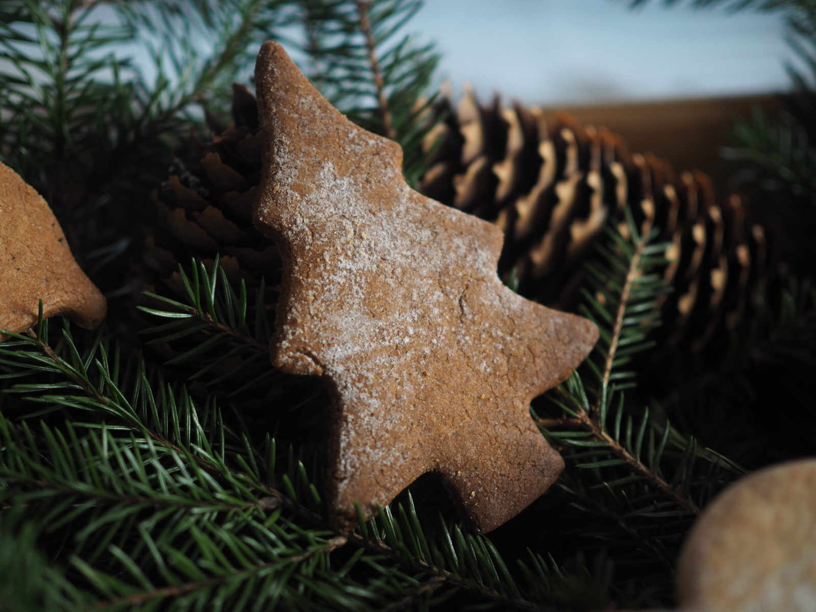 Old Fashioned Pepperkaker (Norwegian Gingerbread)