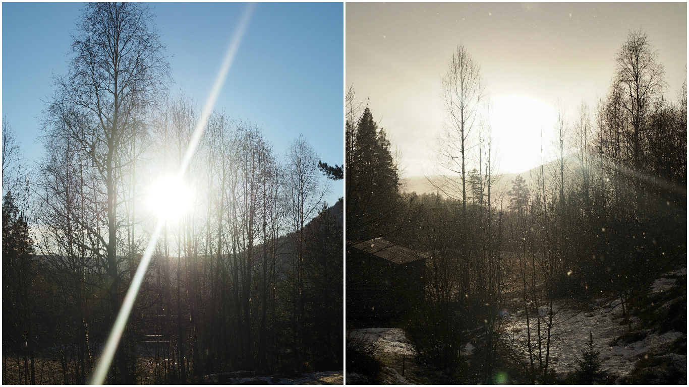 Rutabaga Salad with Apples (Kålrabi Salat med Epler)