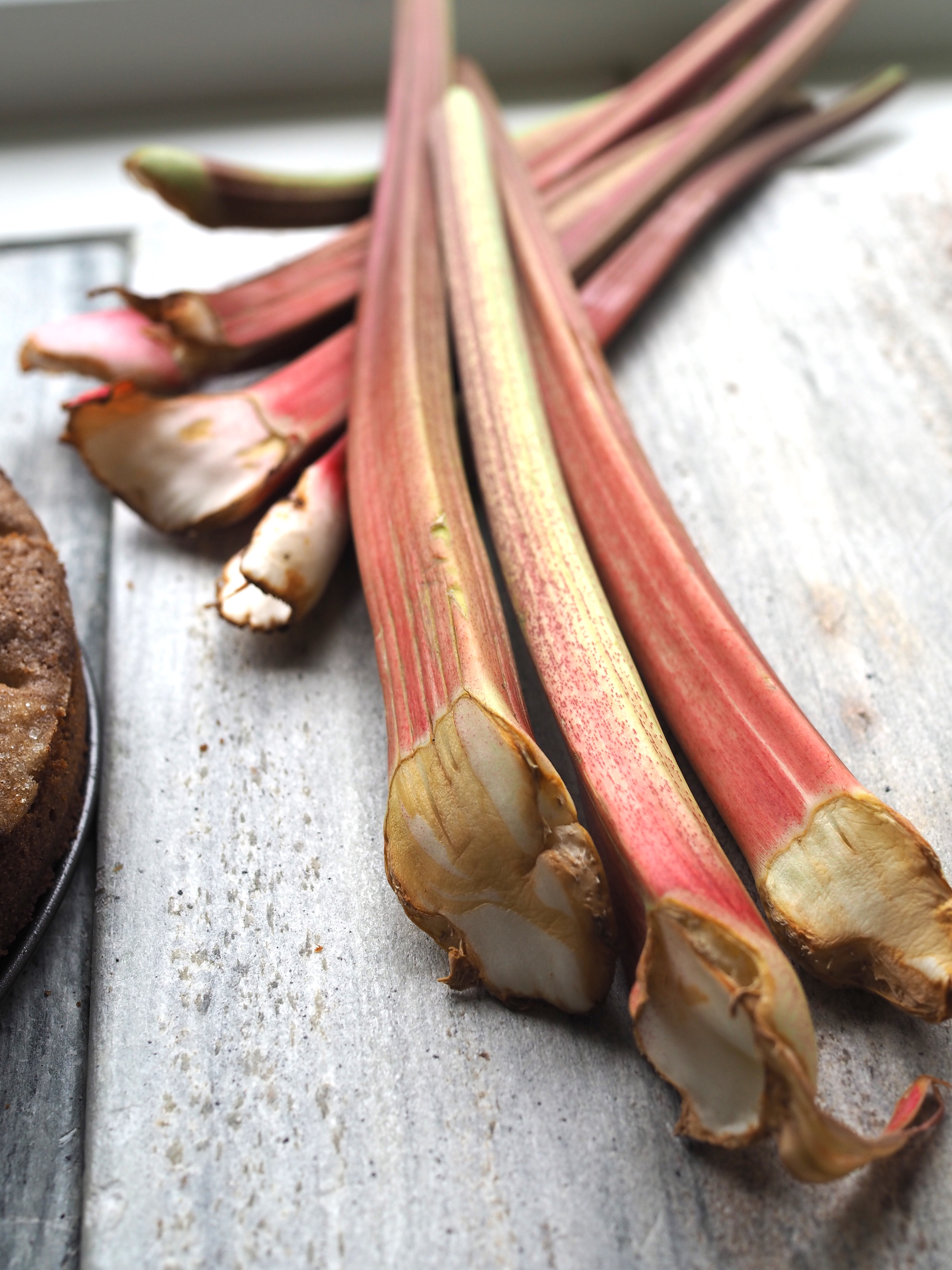 Simple Norwegian Rhubarb Cake (Rabarbrakake)