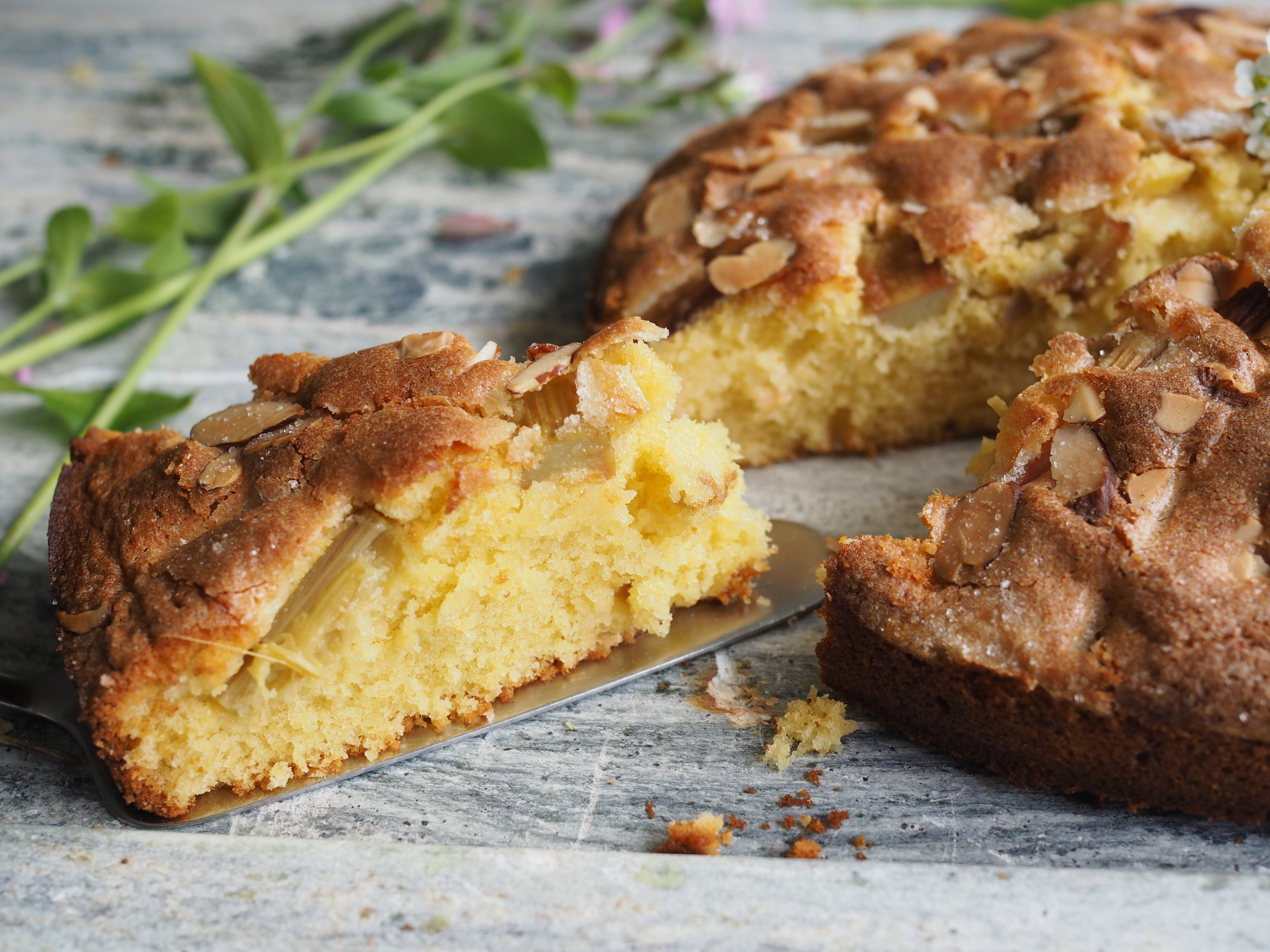 Simple Norwegian Rhubarb Cake (Rabarbrakake)