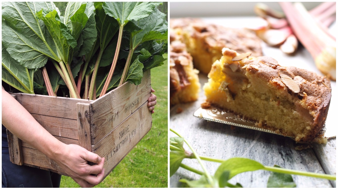 Simple Norwegian Rhubarb Cake (Rabarbrakake)
