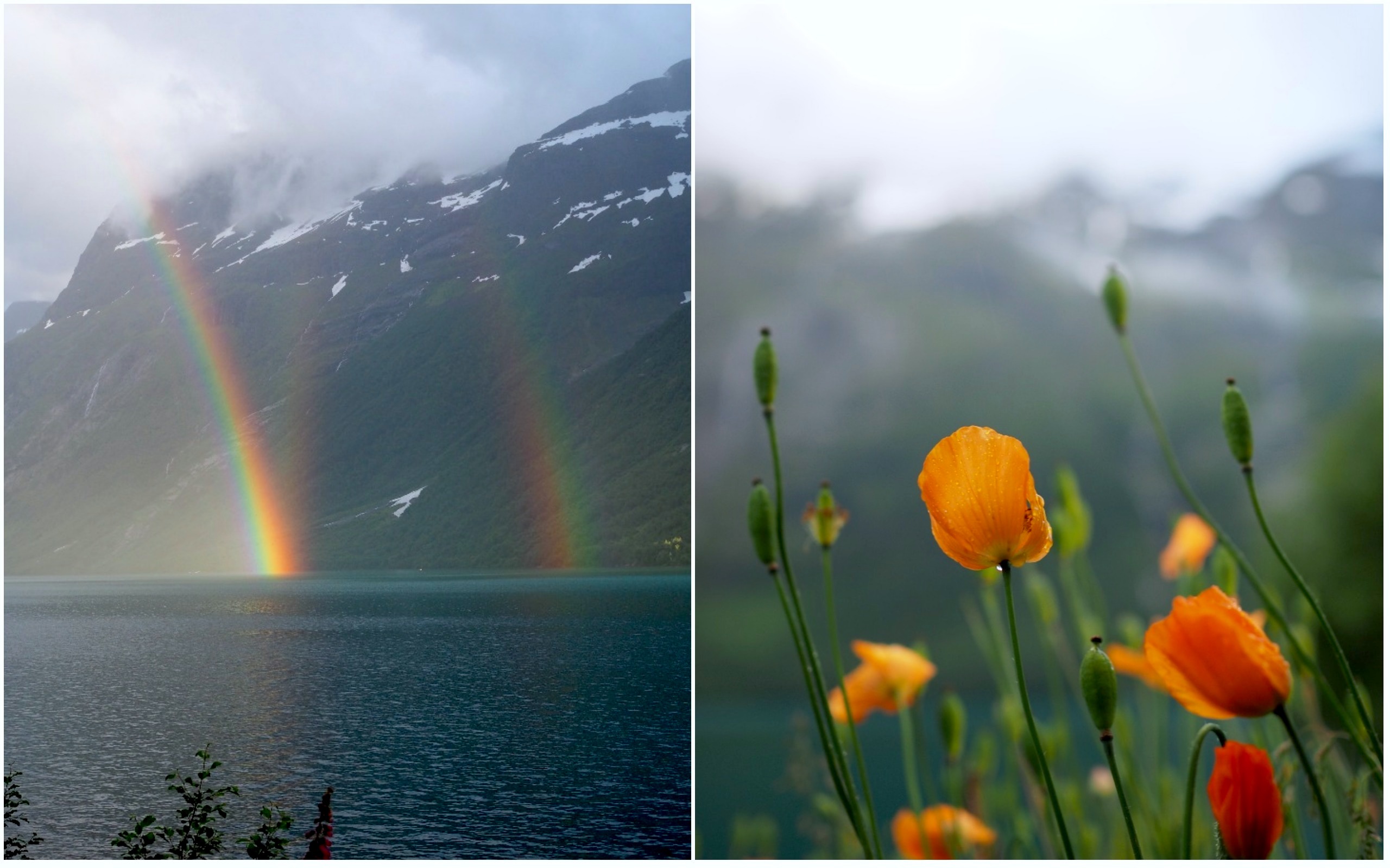 Simple Fish Cakes (Fiskekaker)