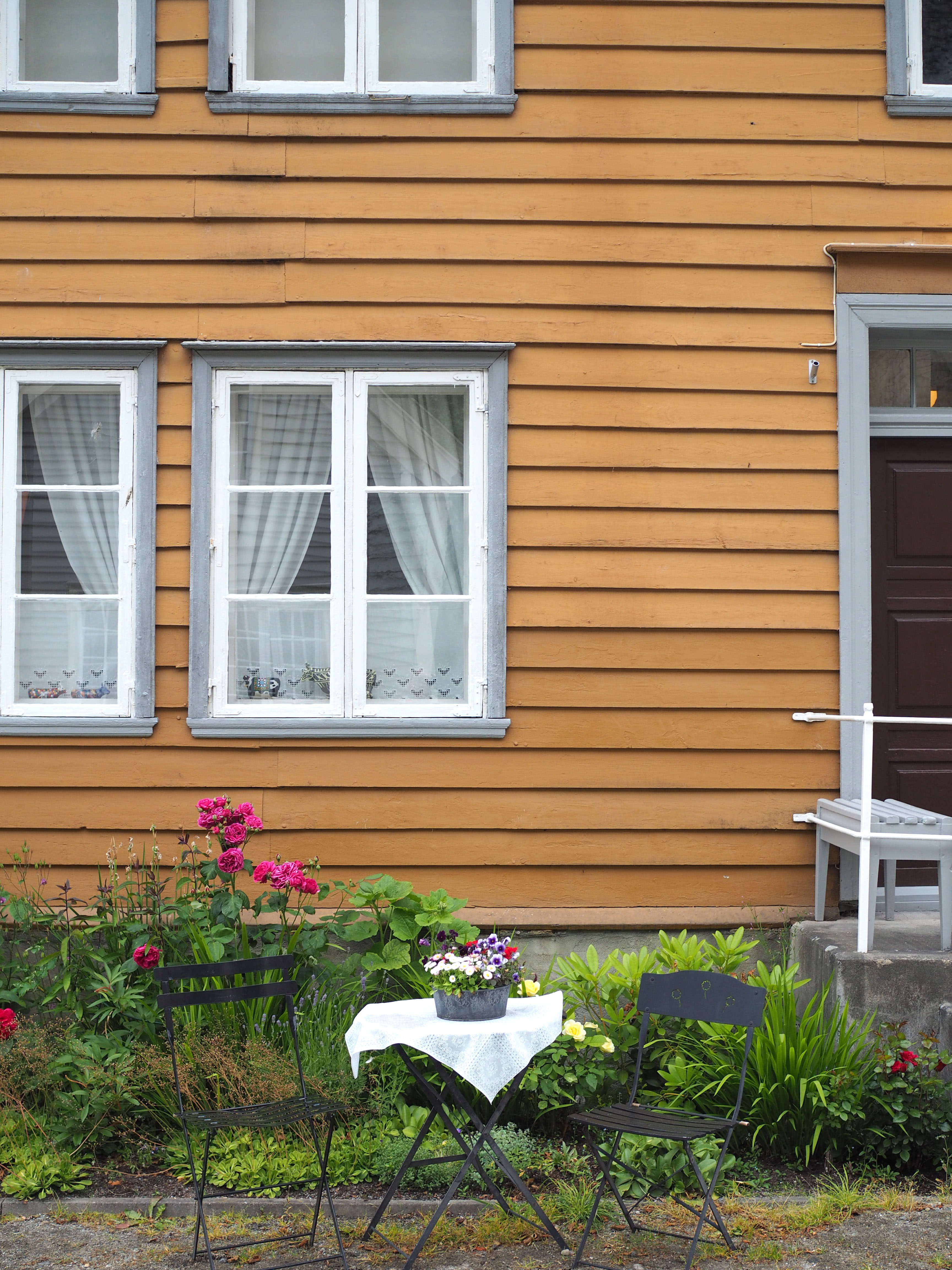 The Waters + Norwegian Fish Cakes (Fiskekaker)
