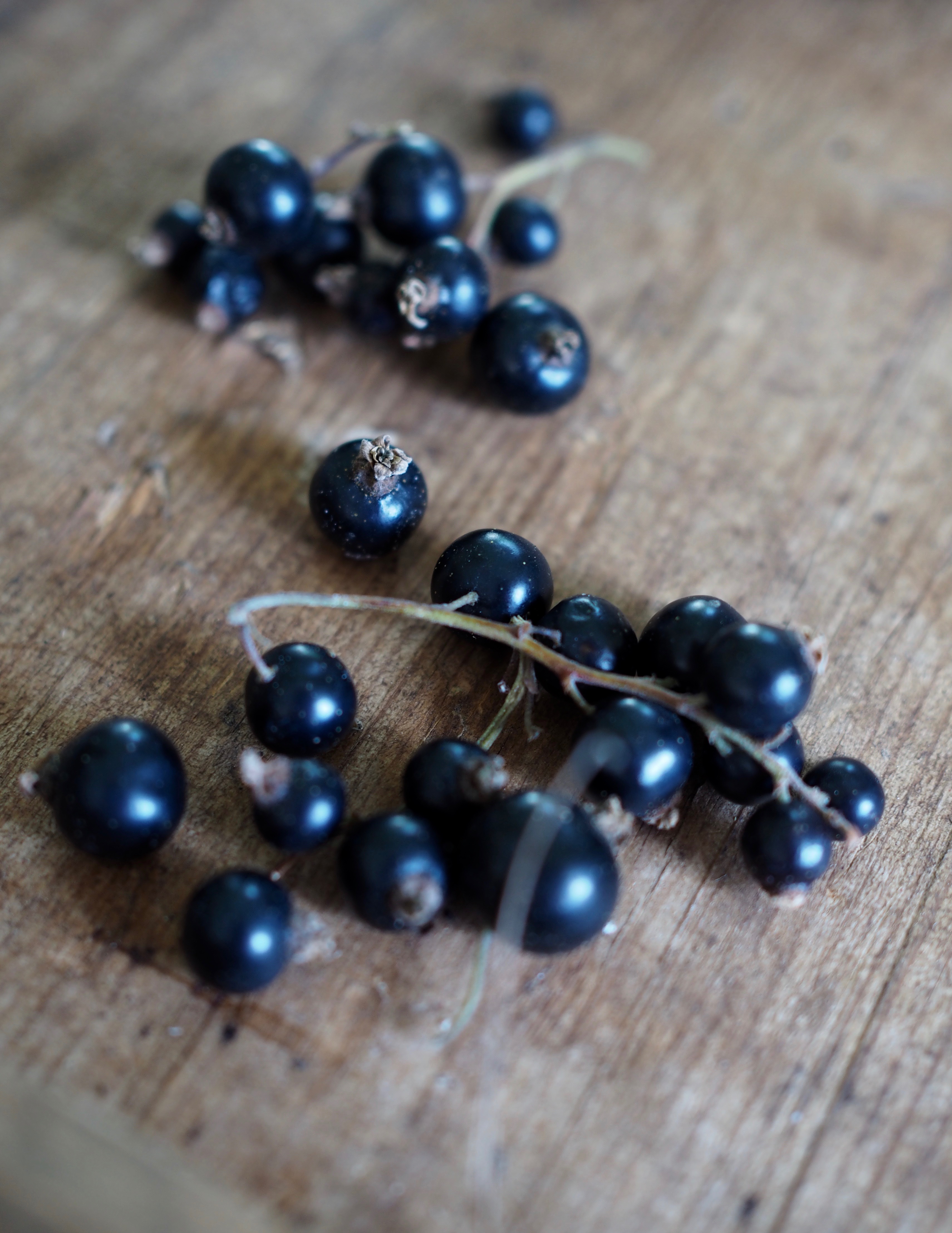 Blackcurrant Sweet Buns (Solbærsnurrer)