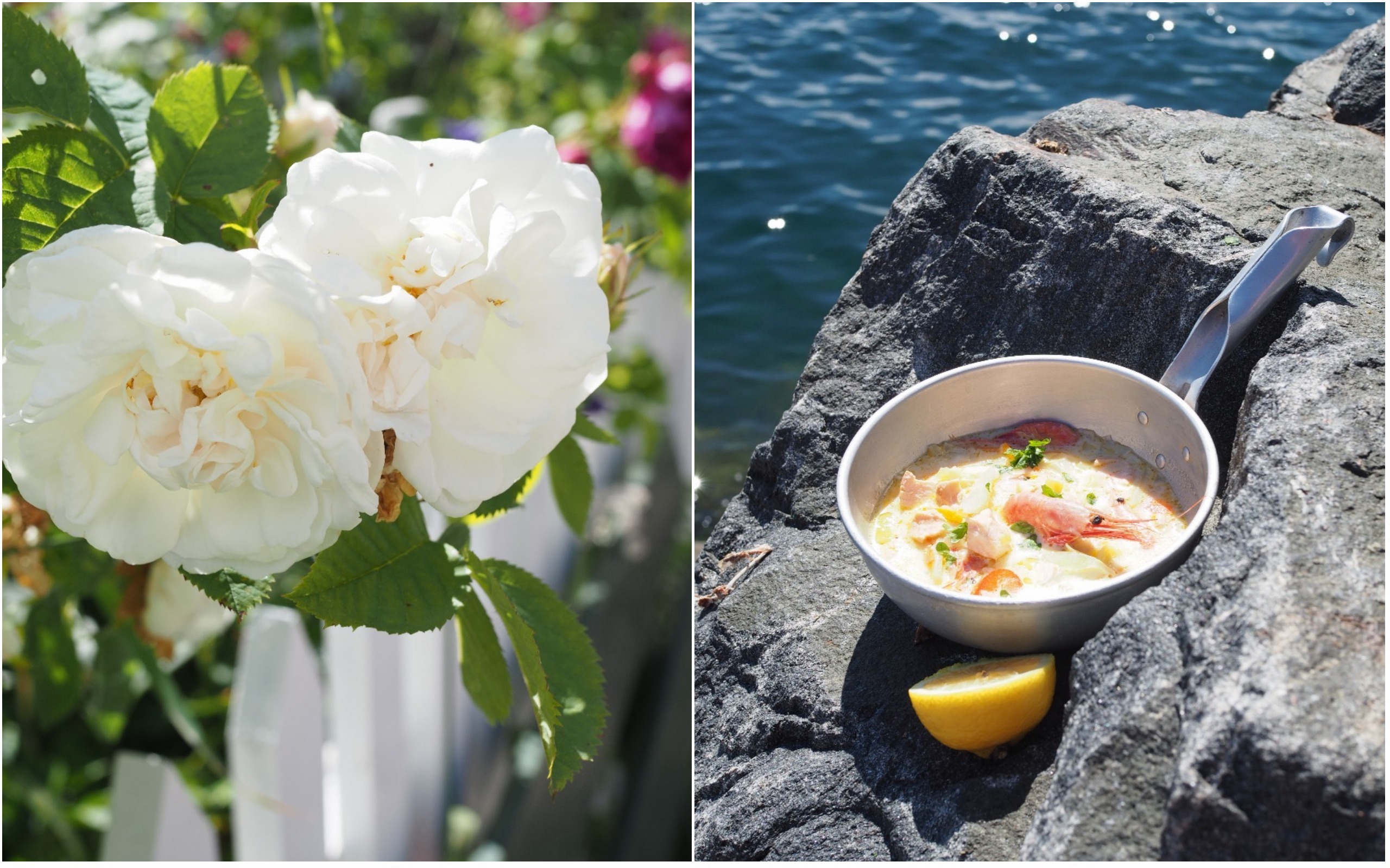 The Waters + Norwegian Fish Cakes (Fiskekaker)