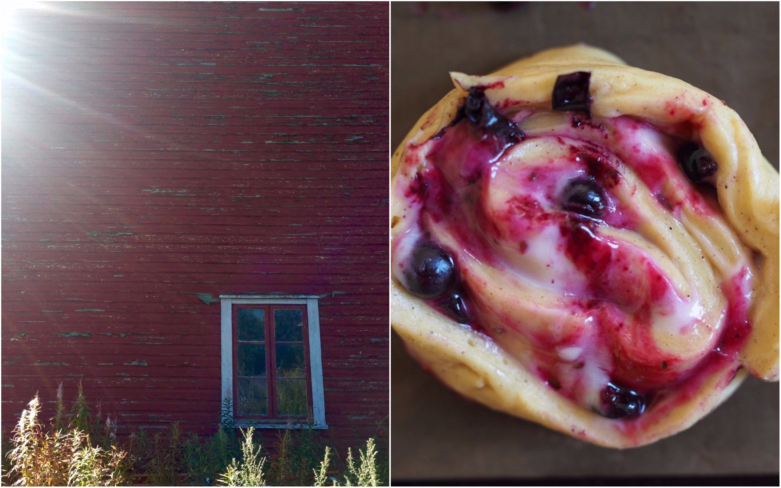 Blackcurrant Sweet Buns (Solbærsnurrer)