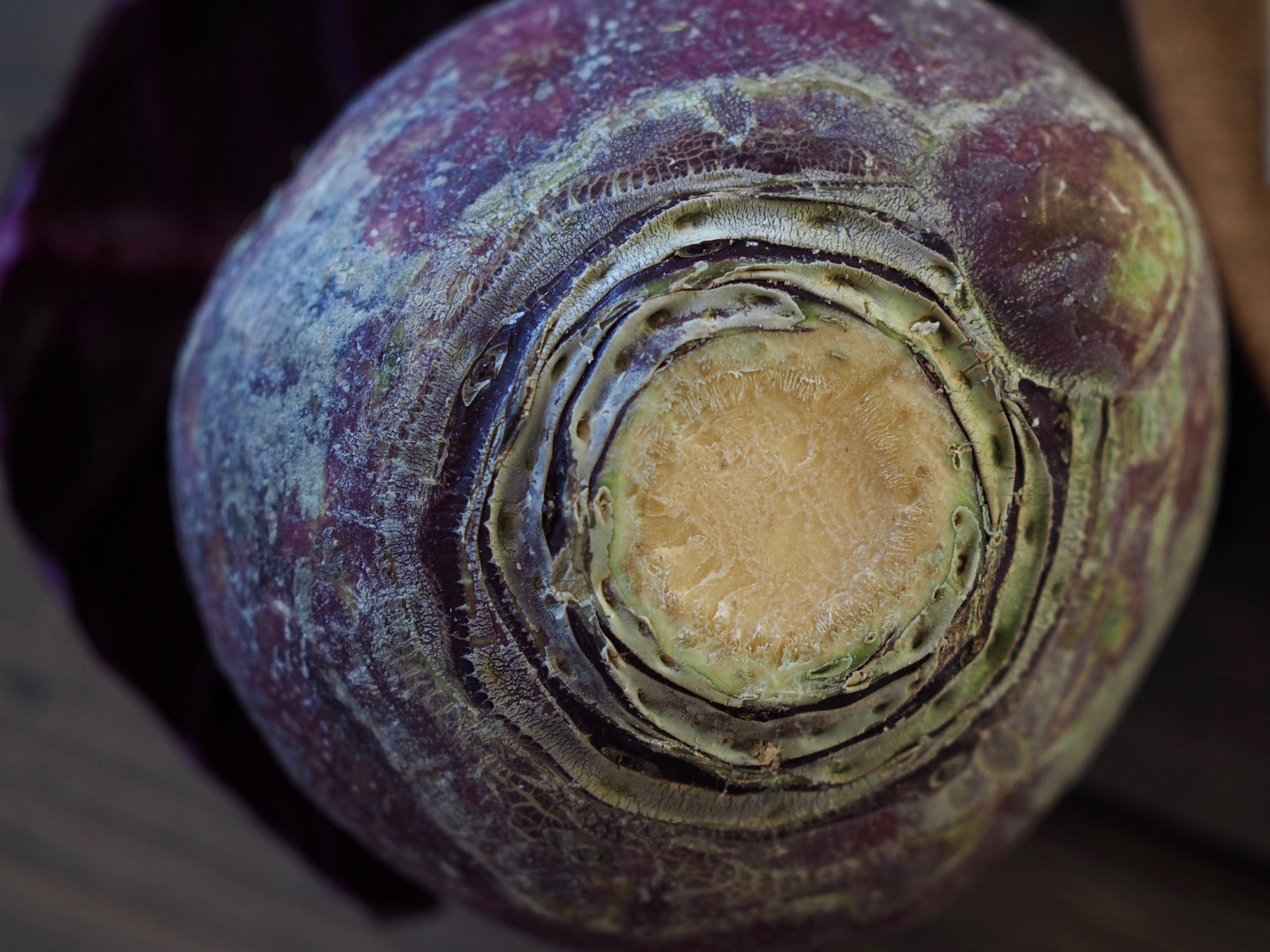 Flourless Rutabaga Roulade with Cardamom Cream (Kålrabirullekake med kardemommekrem)