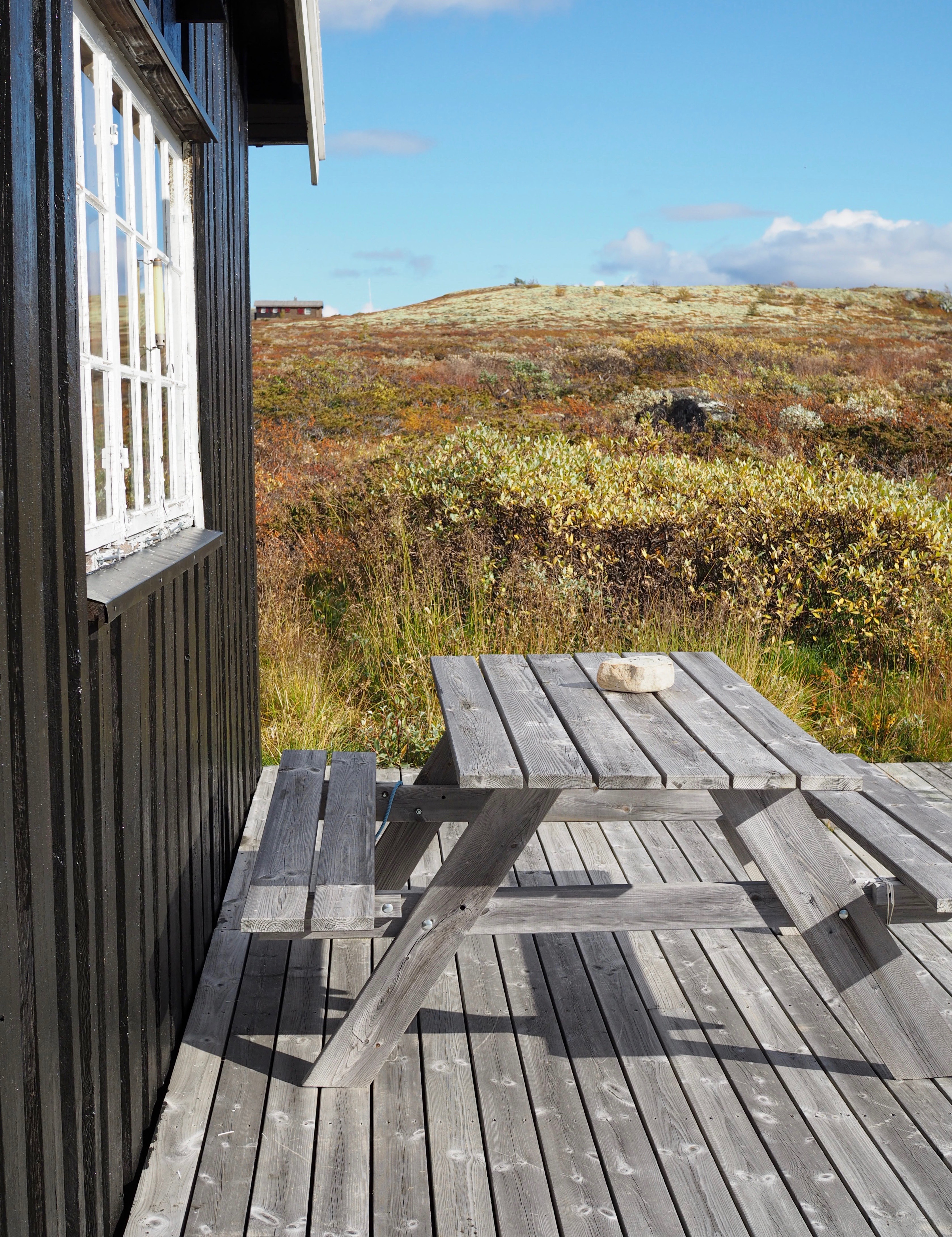 Grouse Hunting in Norway (Rypejakt)