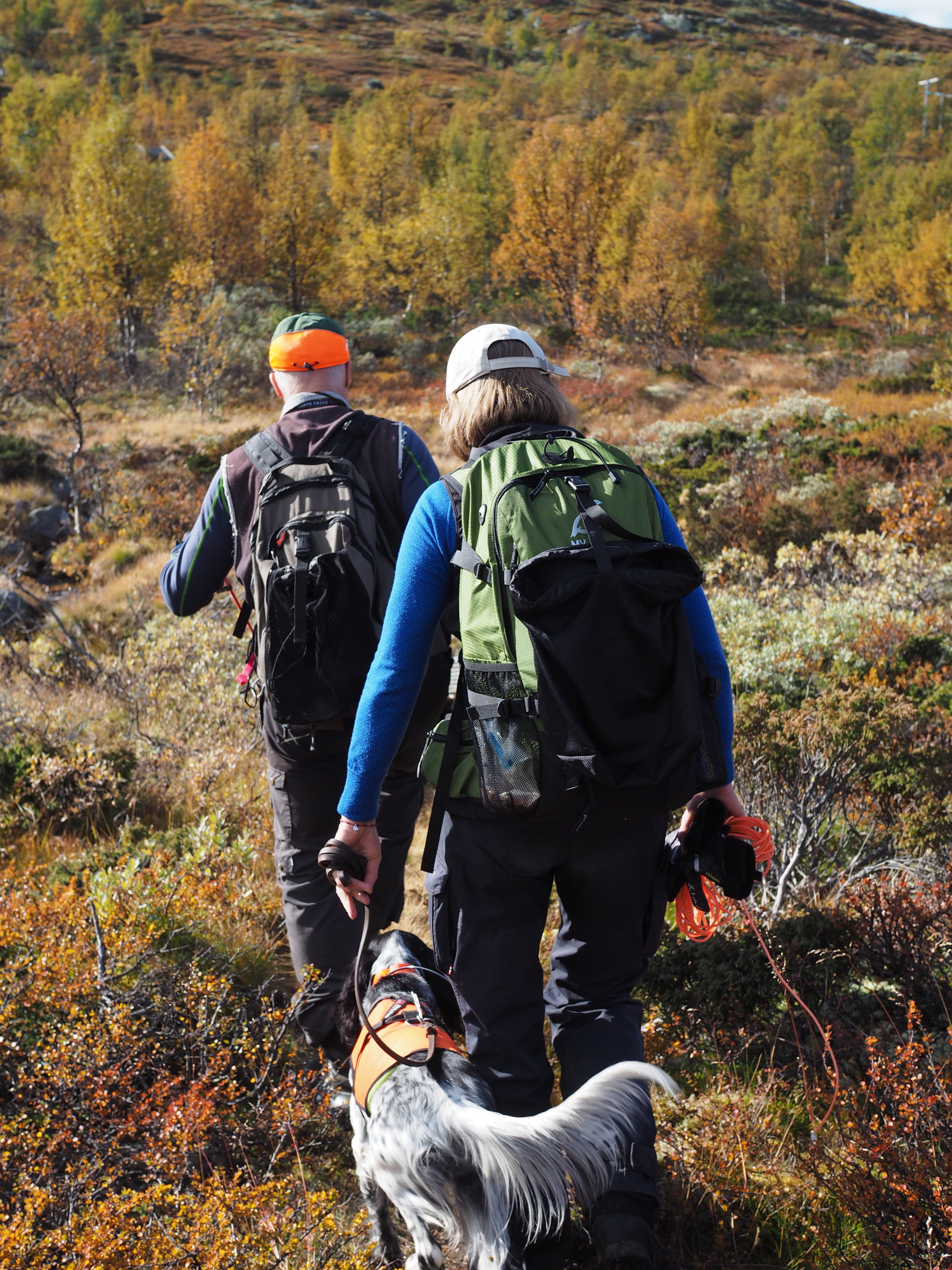Grouse Hunting in Norway (Rypejakt)
