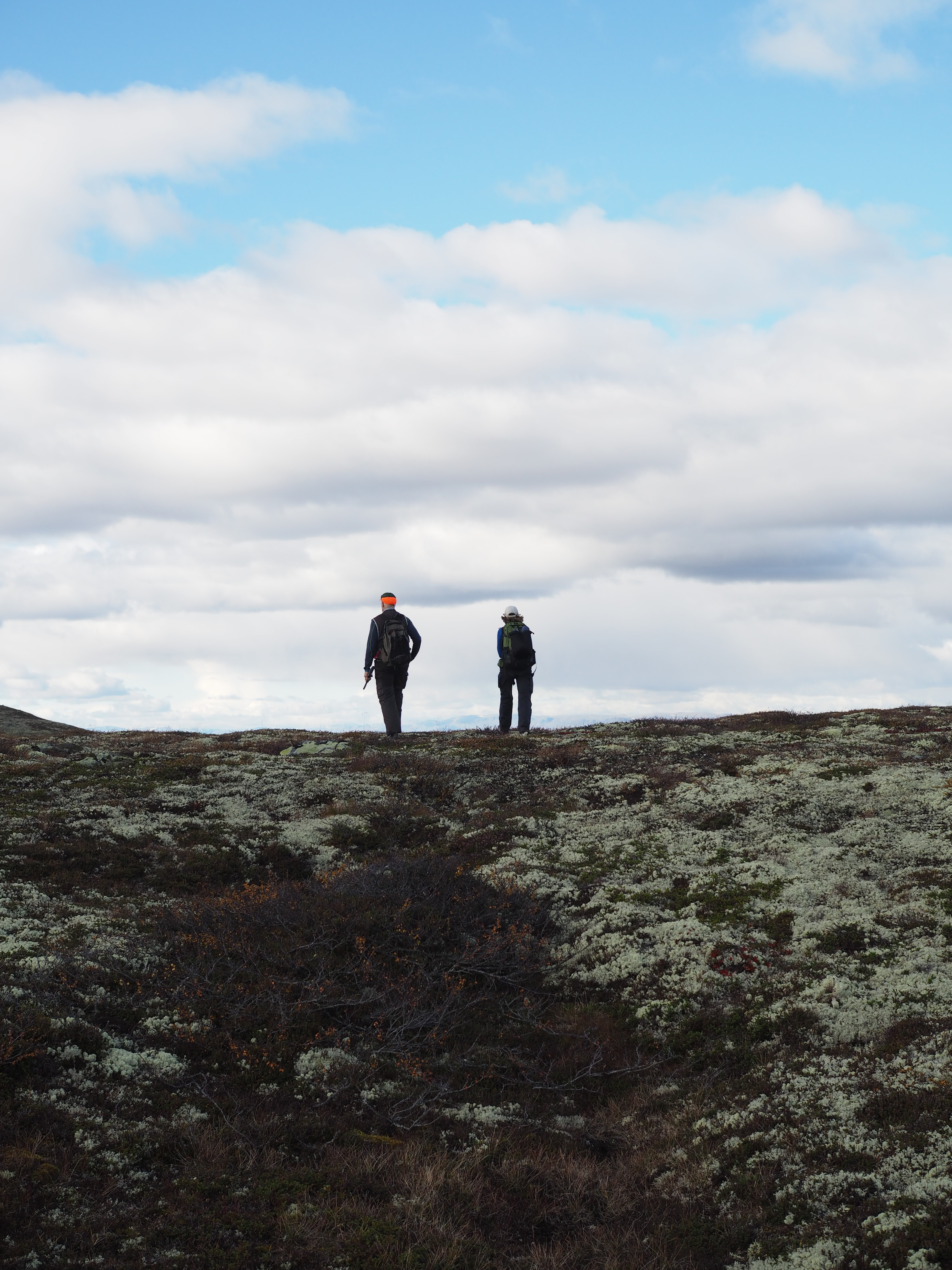 Grouse Hunting in Norway (Rypejakt)