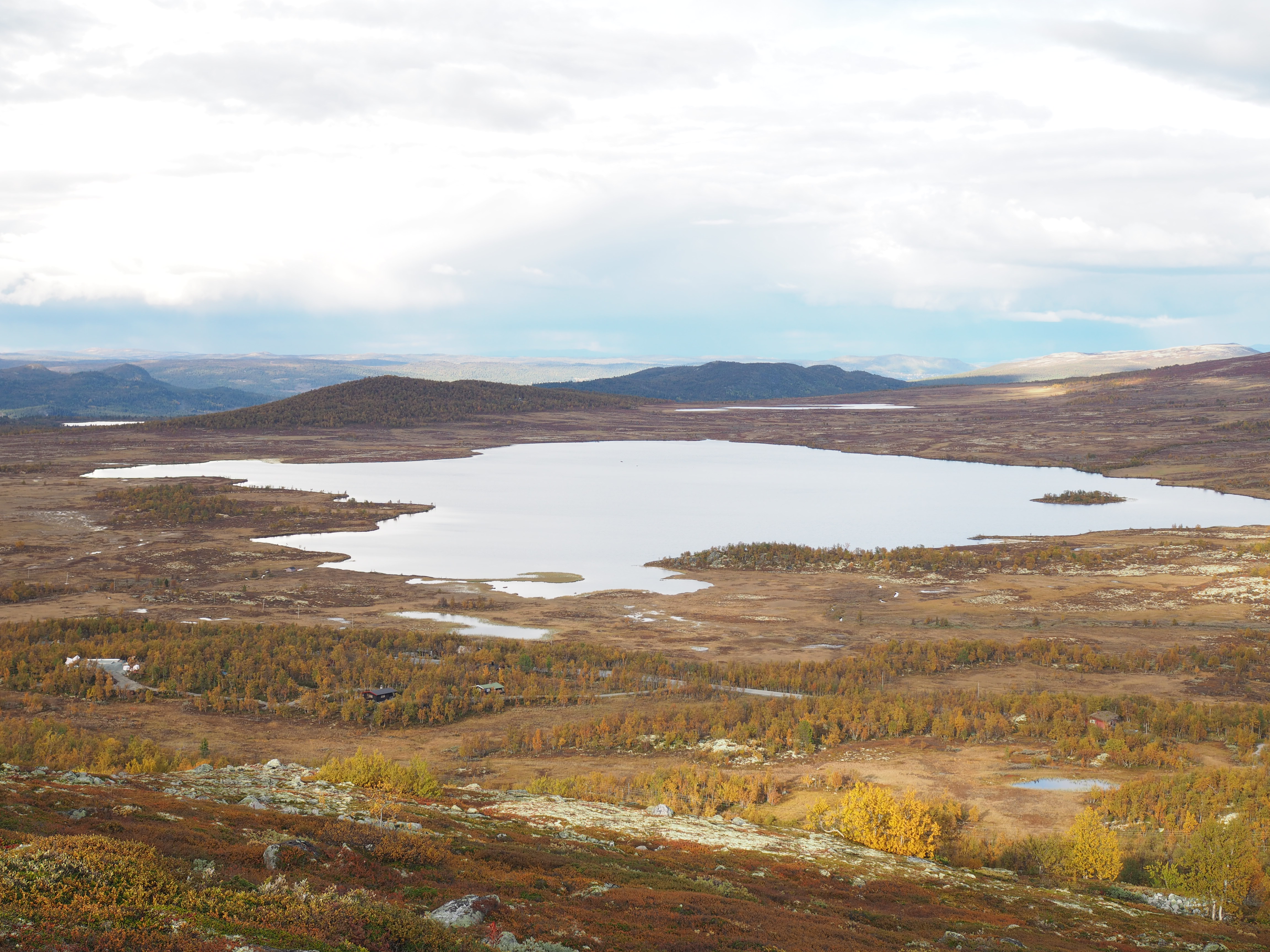Grouse Hunting in Norway (Rypejakt)