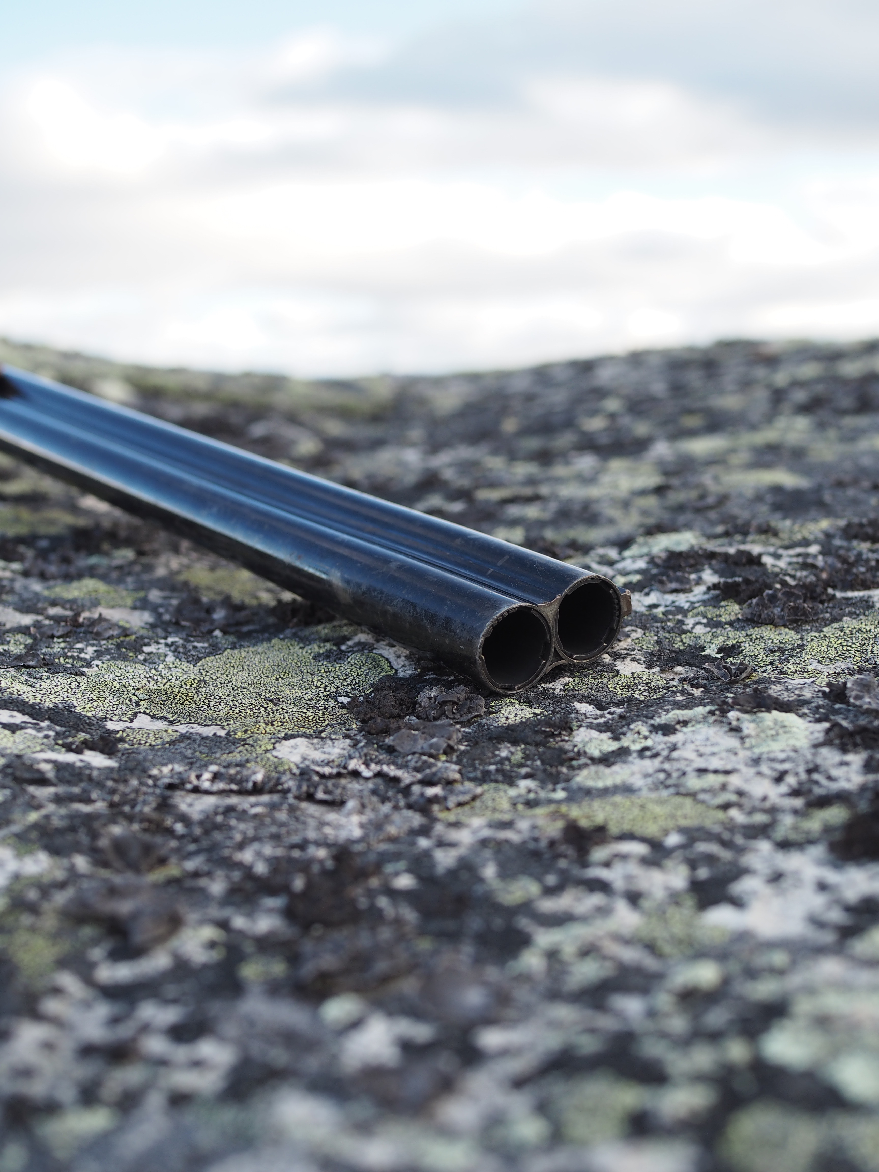 Grouse Hunting in Norway (Rypejakt)