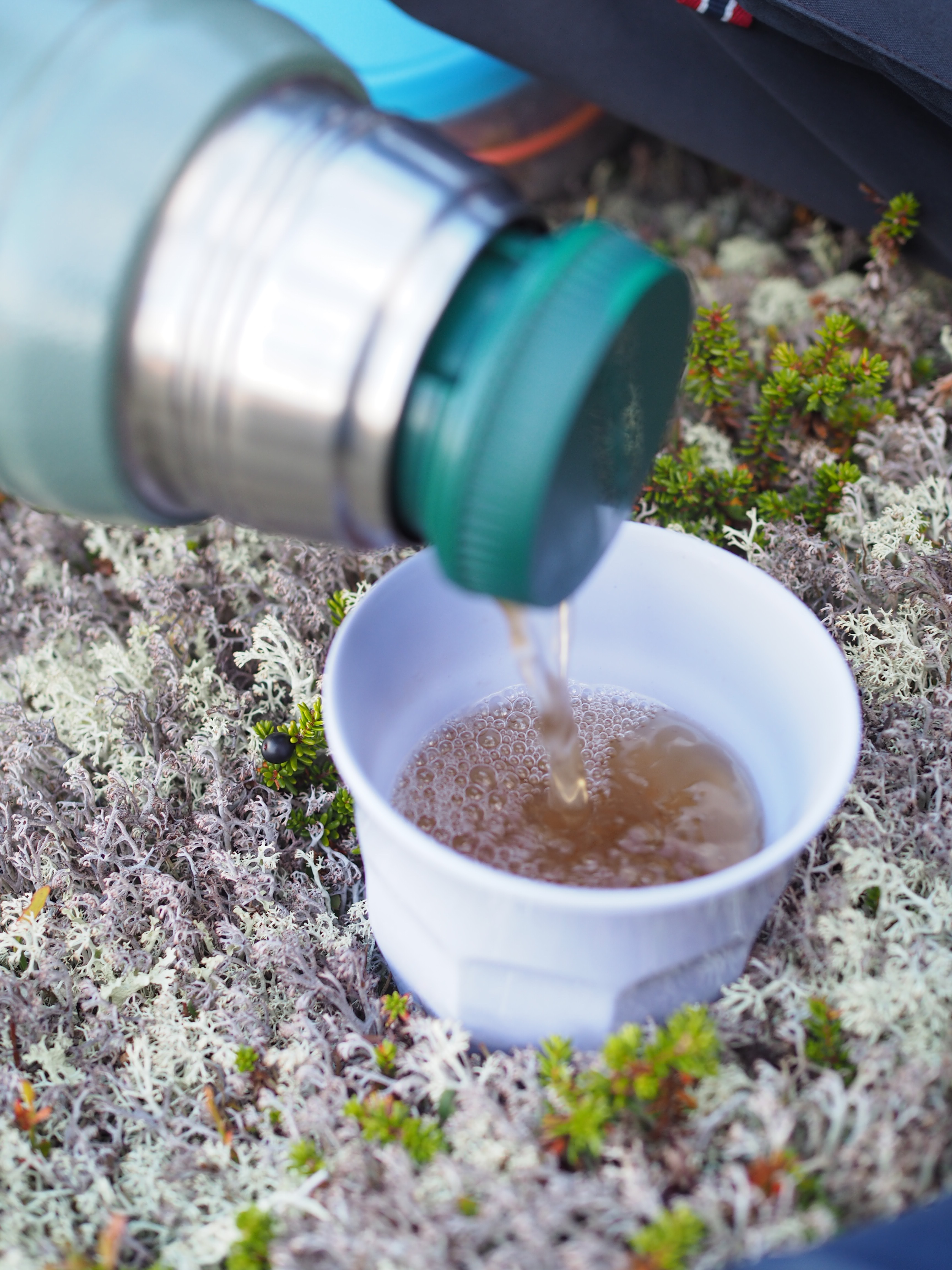 Grouse Hunting in Norway (Rypejakt)