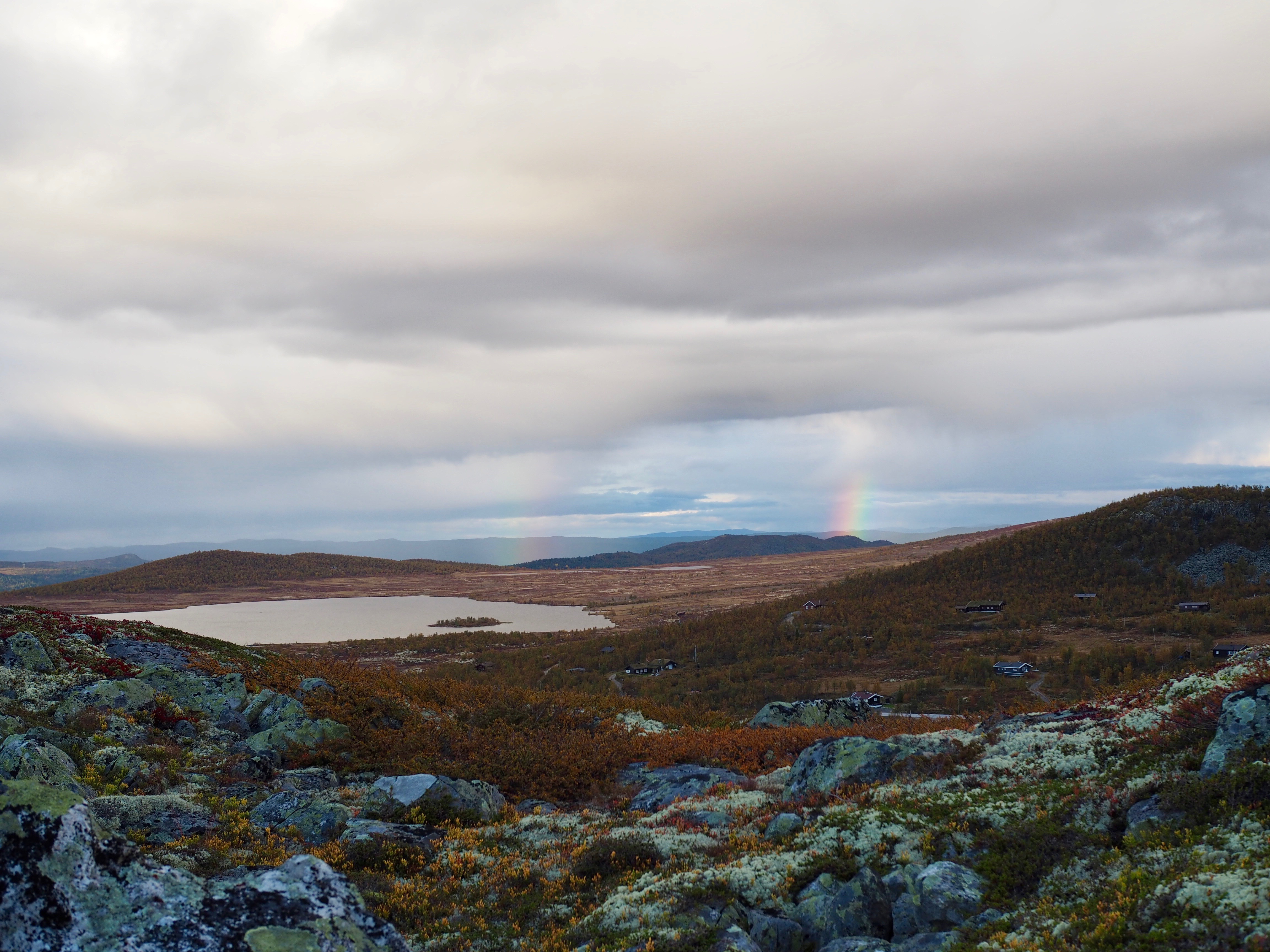 Grouse Hunting in Norway (Rypejakt)