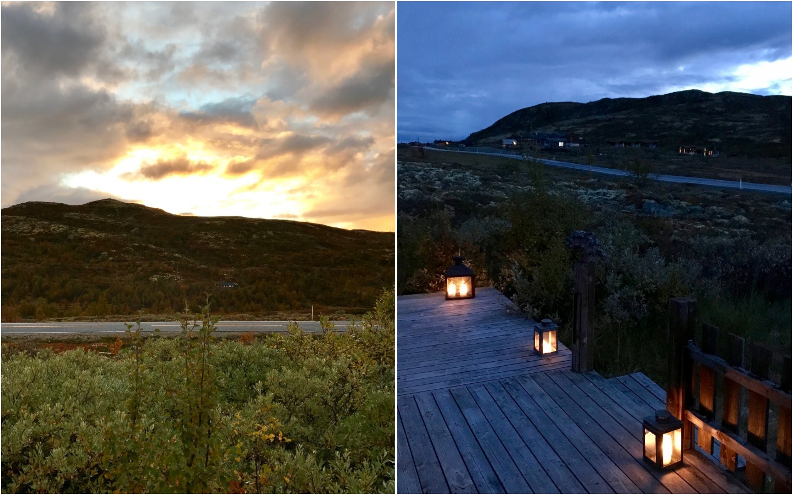 Grouse Hunting in Norway (Rypejakt)