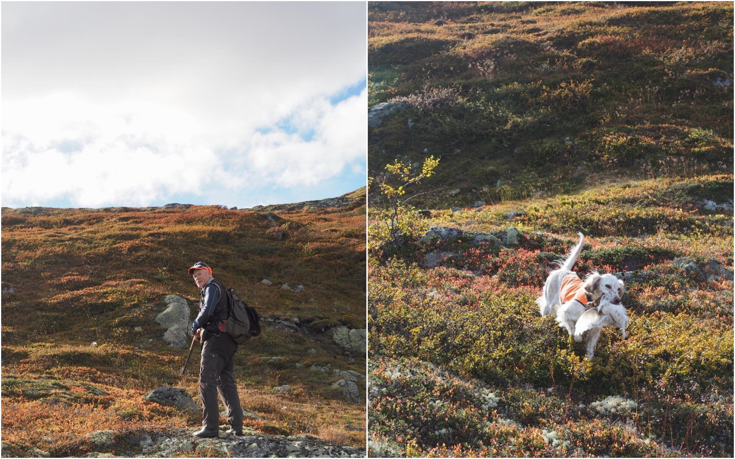 Grouse Hunting in Norway (Rypejakt)