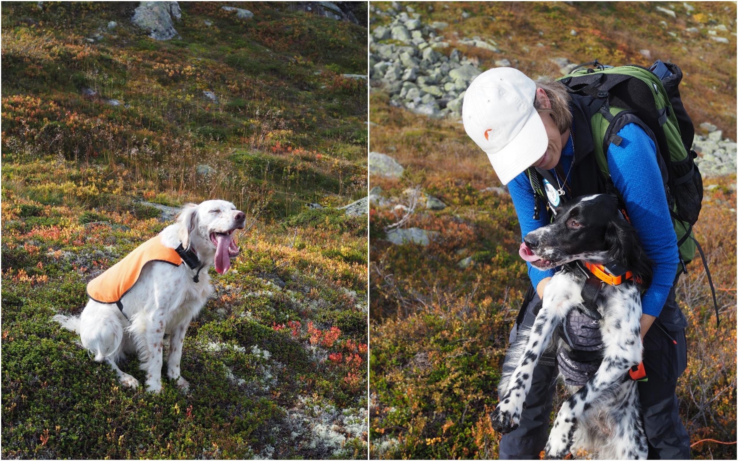Grouse Hunting in Norway (Rypejakt)