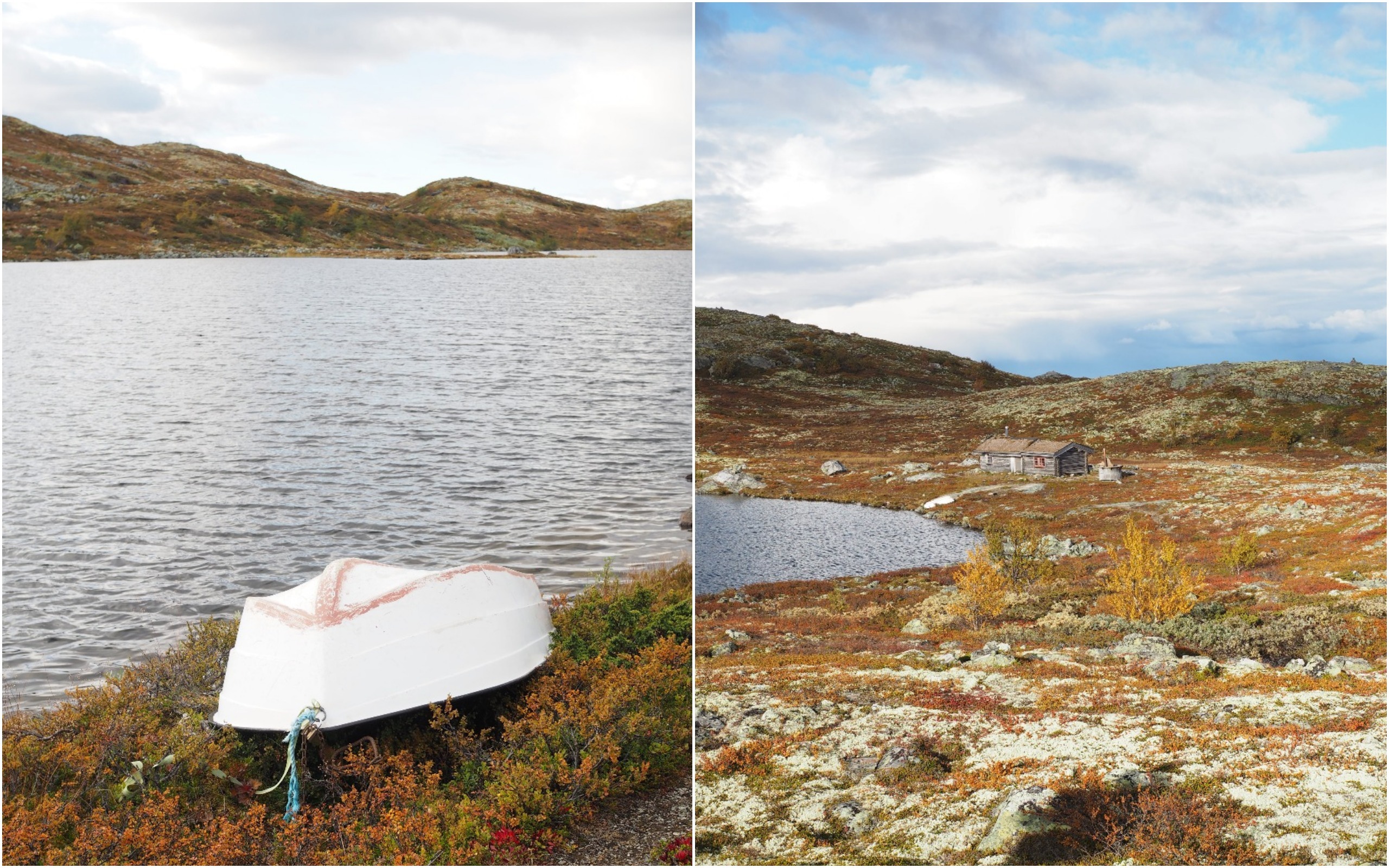 Grouse Hunting in Norway (Rypejakt)