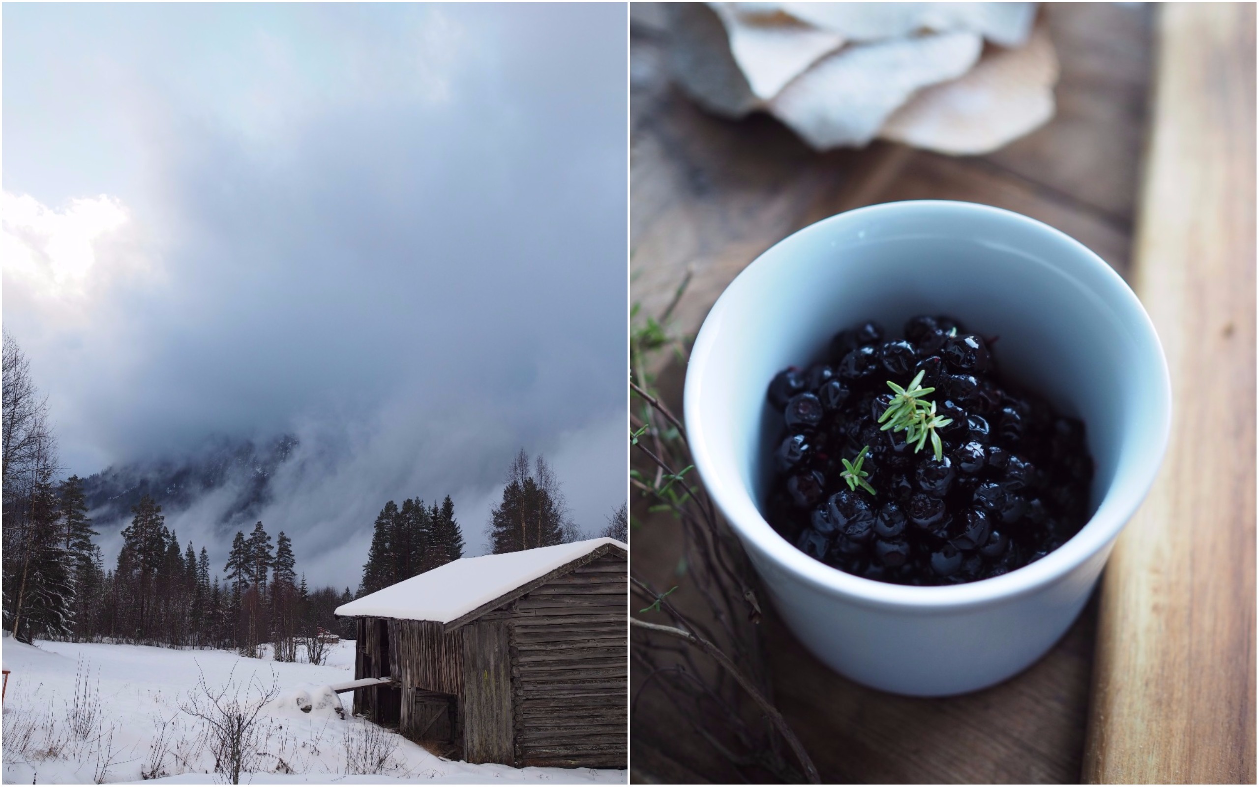 Aquavit-Cured Deer with Pickled Bilberries (Gravet hjort med sylteblåbær)