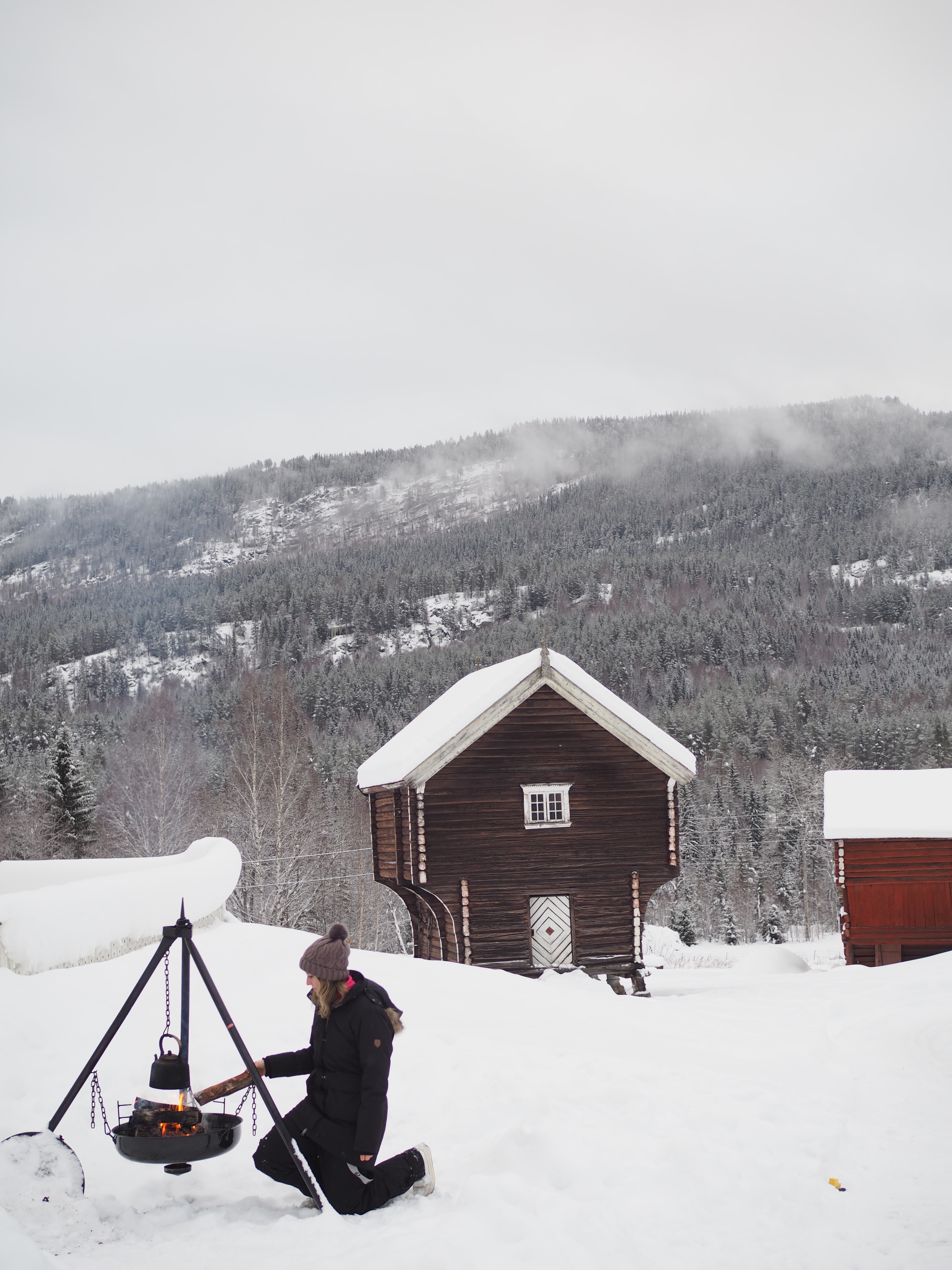 Cinnamon Cake Bread (Kanelkakebrød)