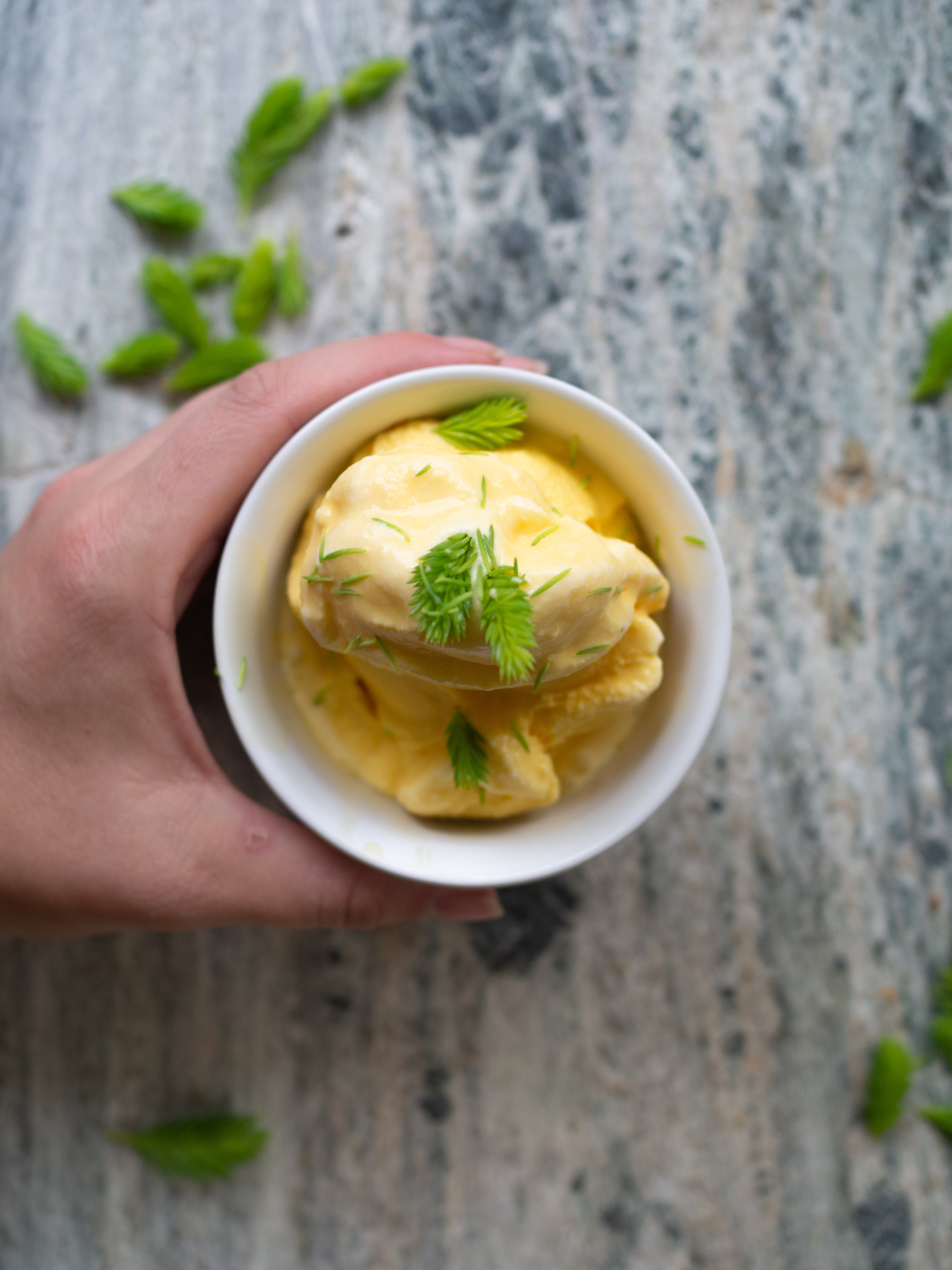 Norwegian Rhubarb Soup and Spruce Tip Ice Cream (rabarbragrøt og granskuddiskrem)