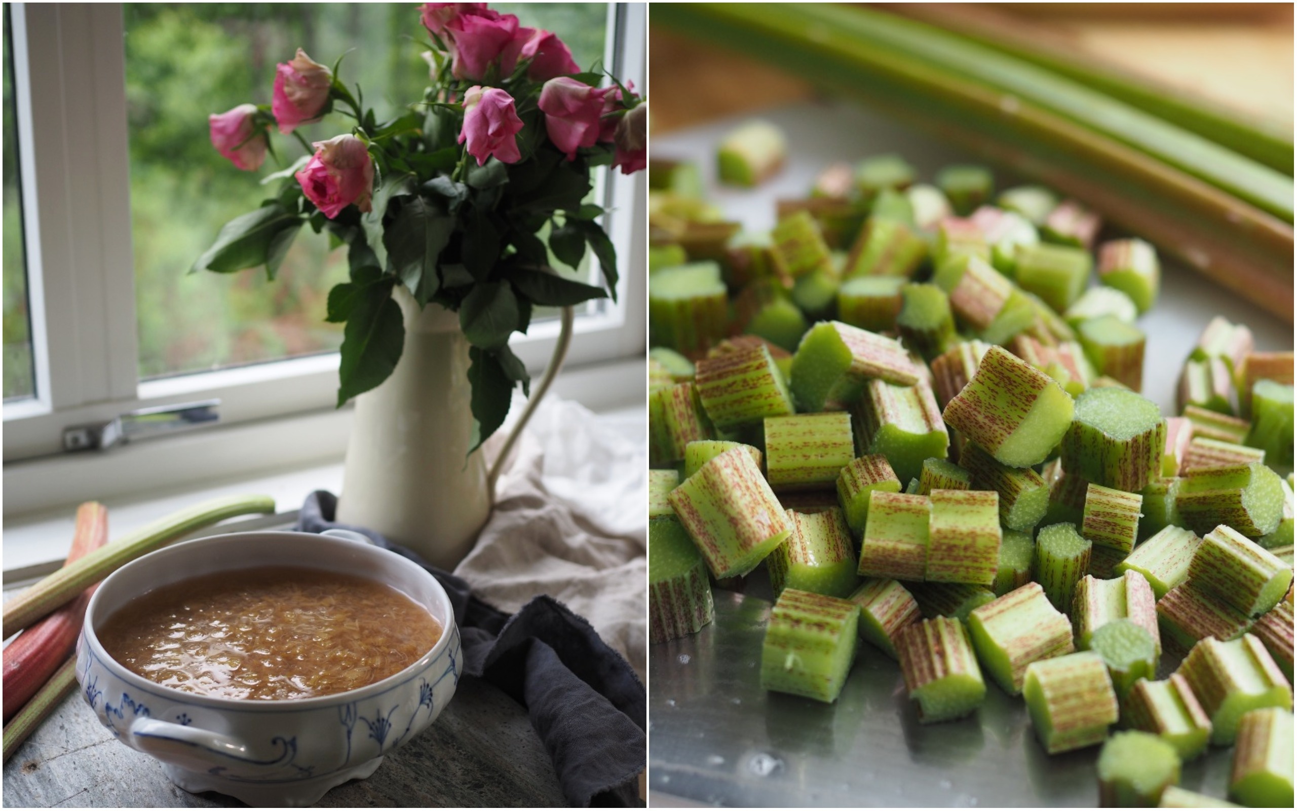 Norwegian Rhubarb Soup and Spruce Tip Ice Cream (rabarbragrøt og grandskudd iskrem)