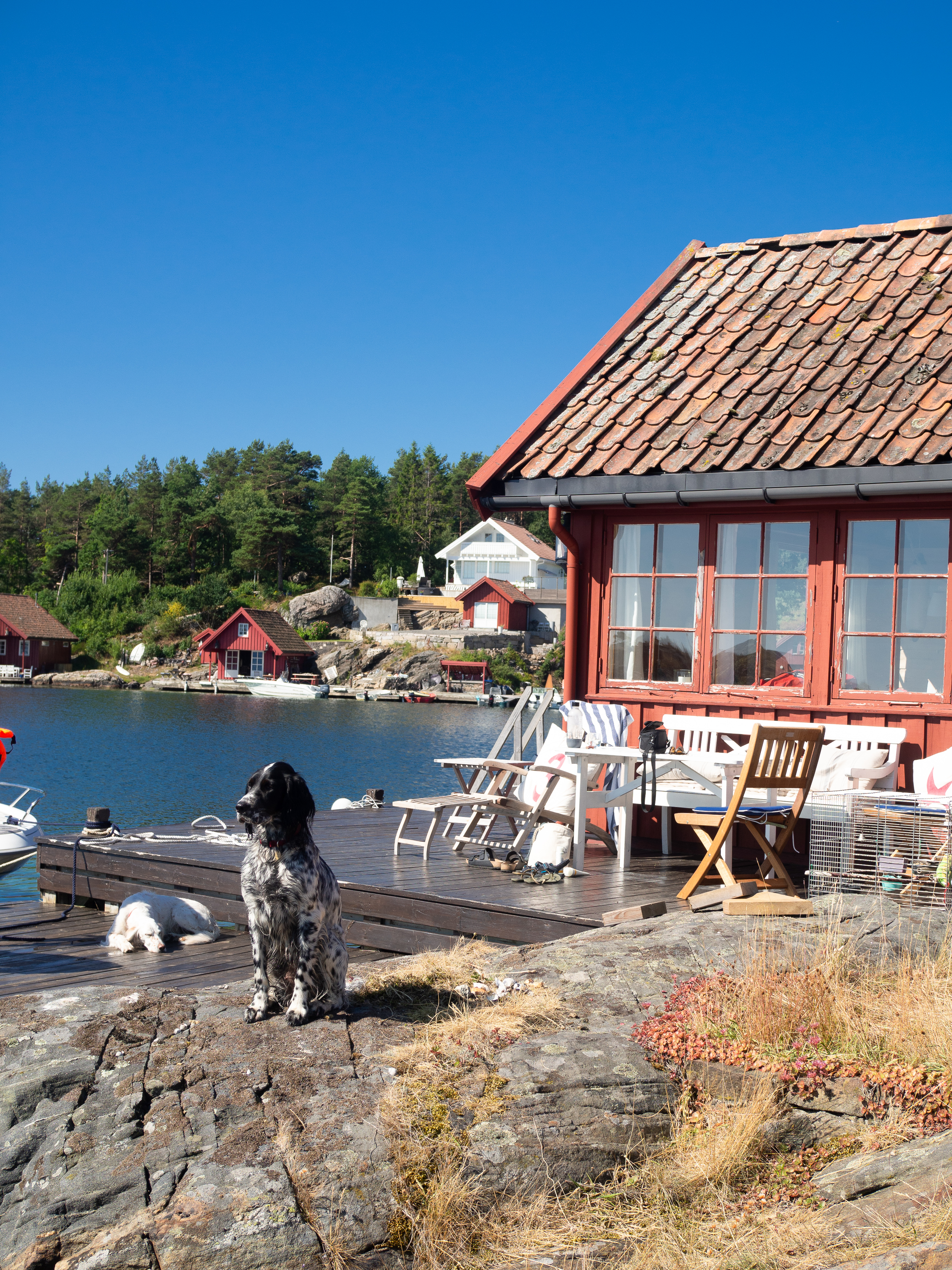 The Southern Coast (Sørlandet) + Salt Water Salmon Steaks