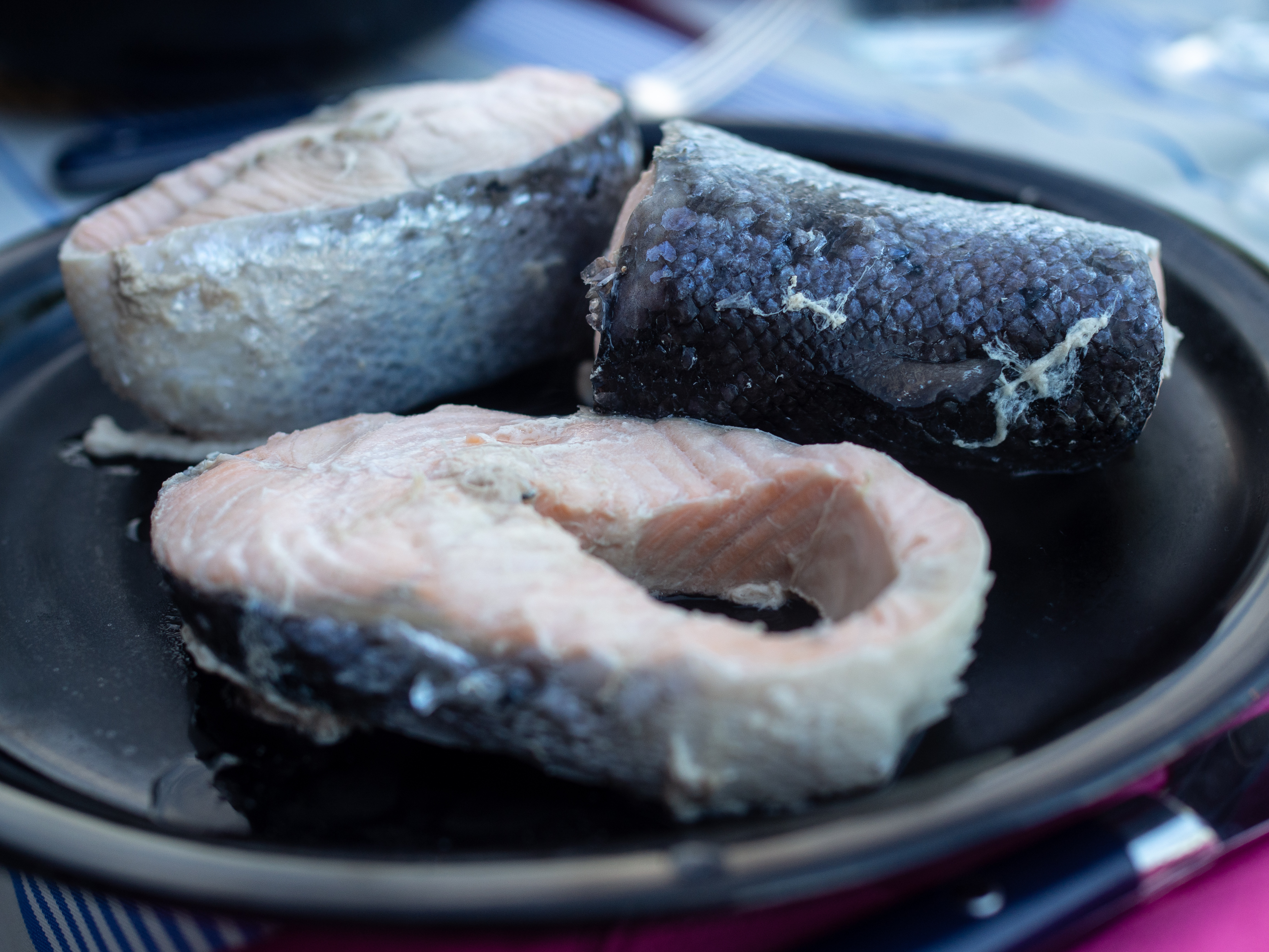 The Southern Coast (Sørlandet) + Salt Water Salmon Steaks