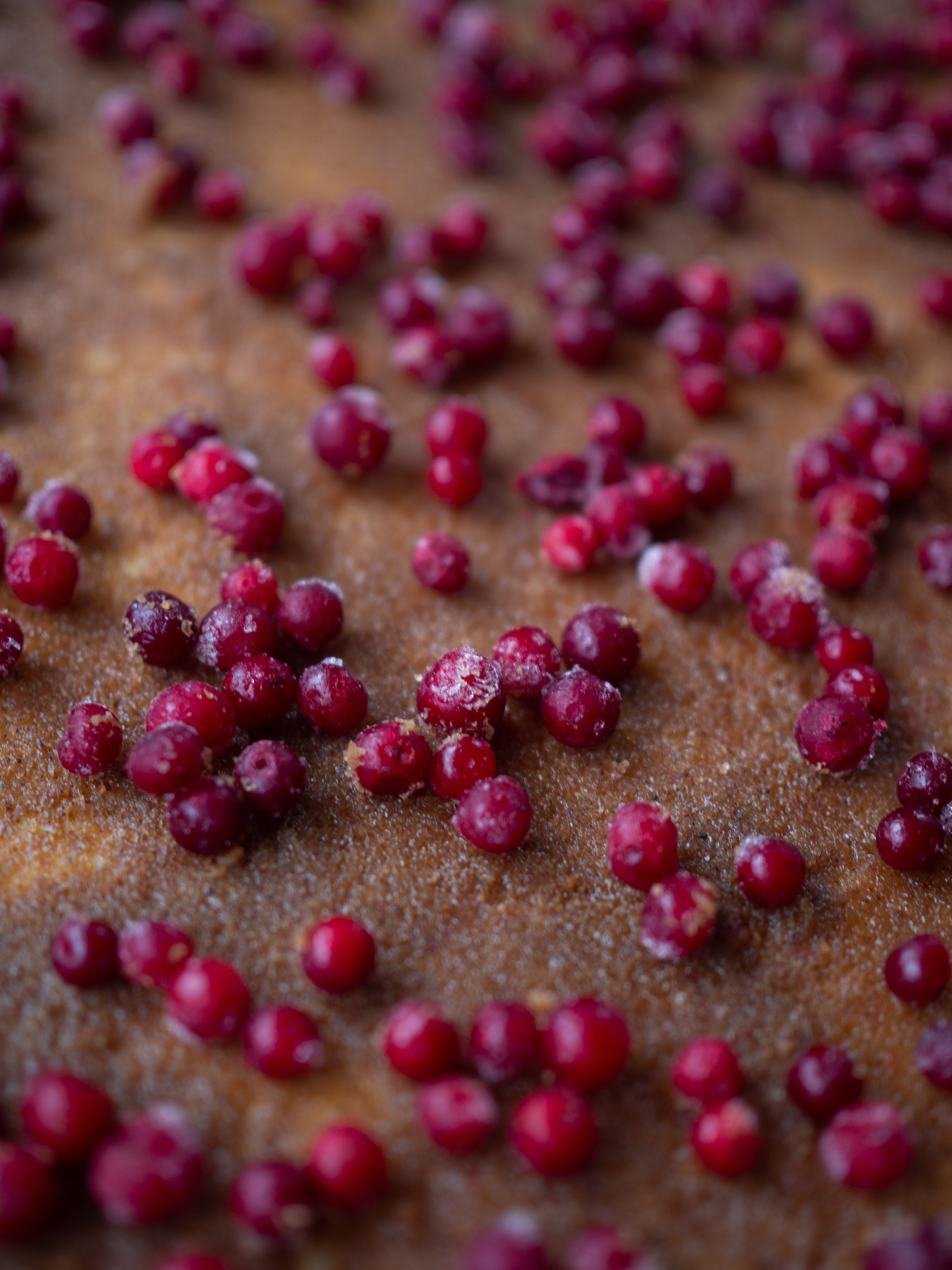Lingonberry Cinnamon Sweet Buns (kanelsnurrer med tyttebær) 