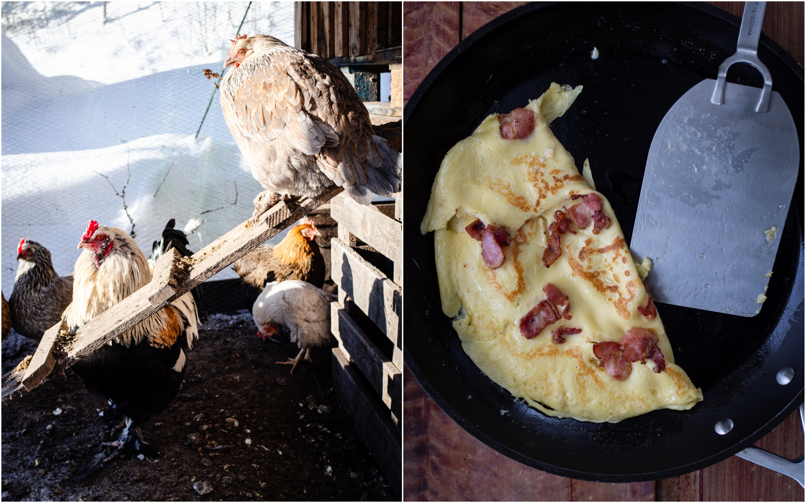 Norwegian Pancakes with Bacon, Sirup and Blueberry Compote (Fleskepannekaker)