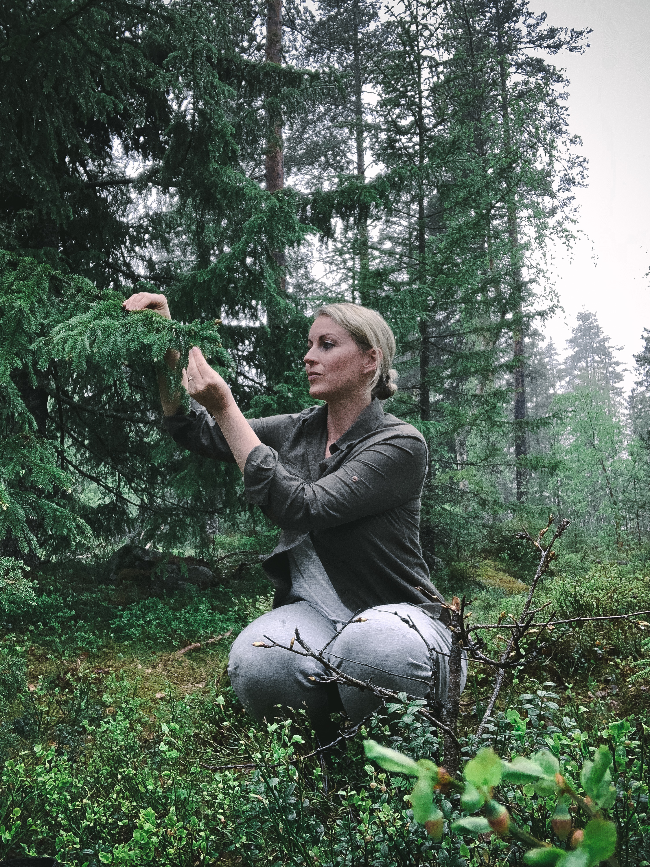 Nevada Berg: Foraging for Spruce Tips