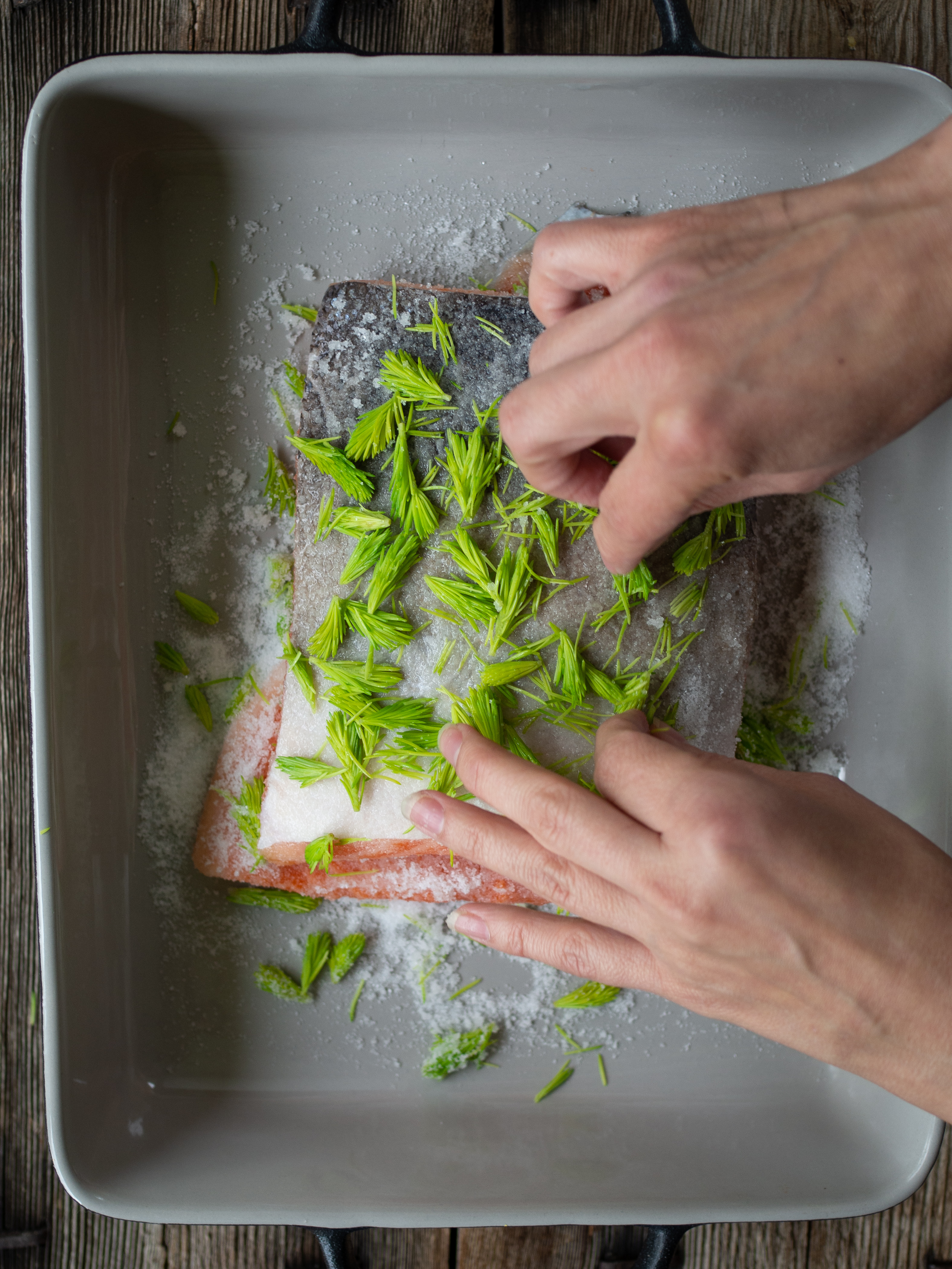 Cured Trout with Spruce Tiips (Gravet Orret med Grandskudd)