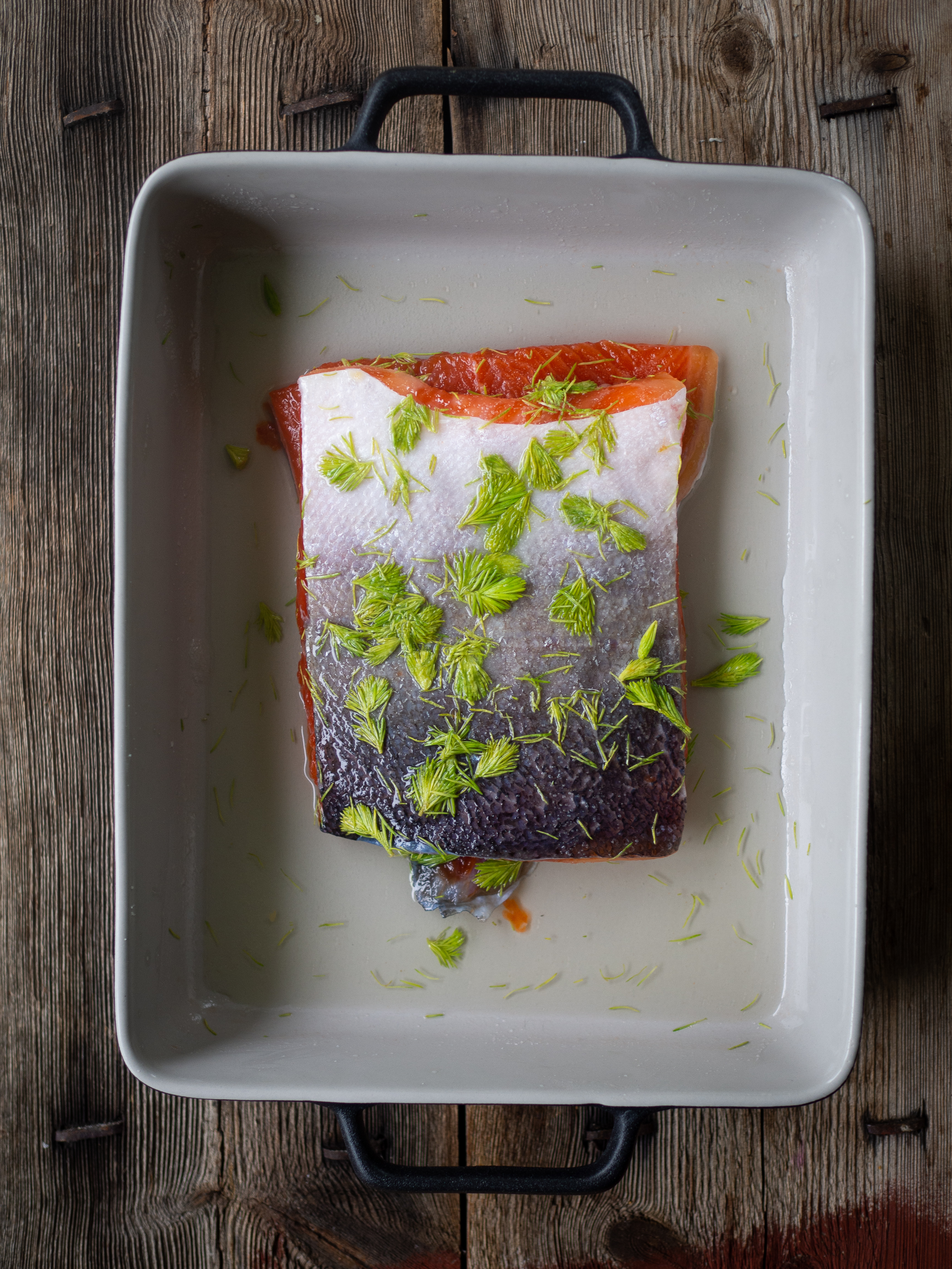 Cured Trout with Spruce Tiips (Gravet Orret med Grandskudd)