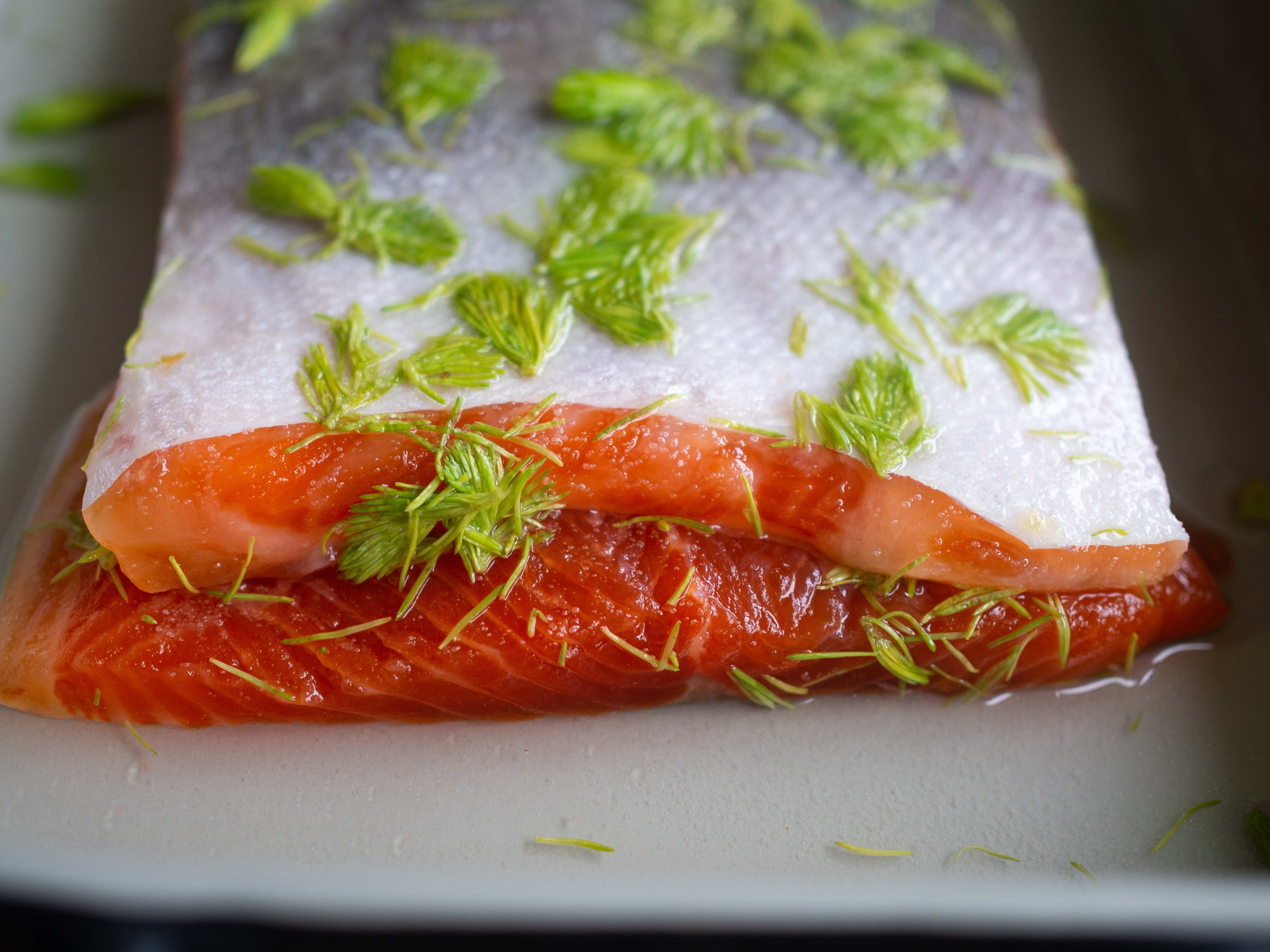 Cured Trout with Spruce Tiips (Gravet Orret med Grandskudd)