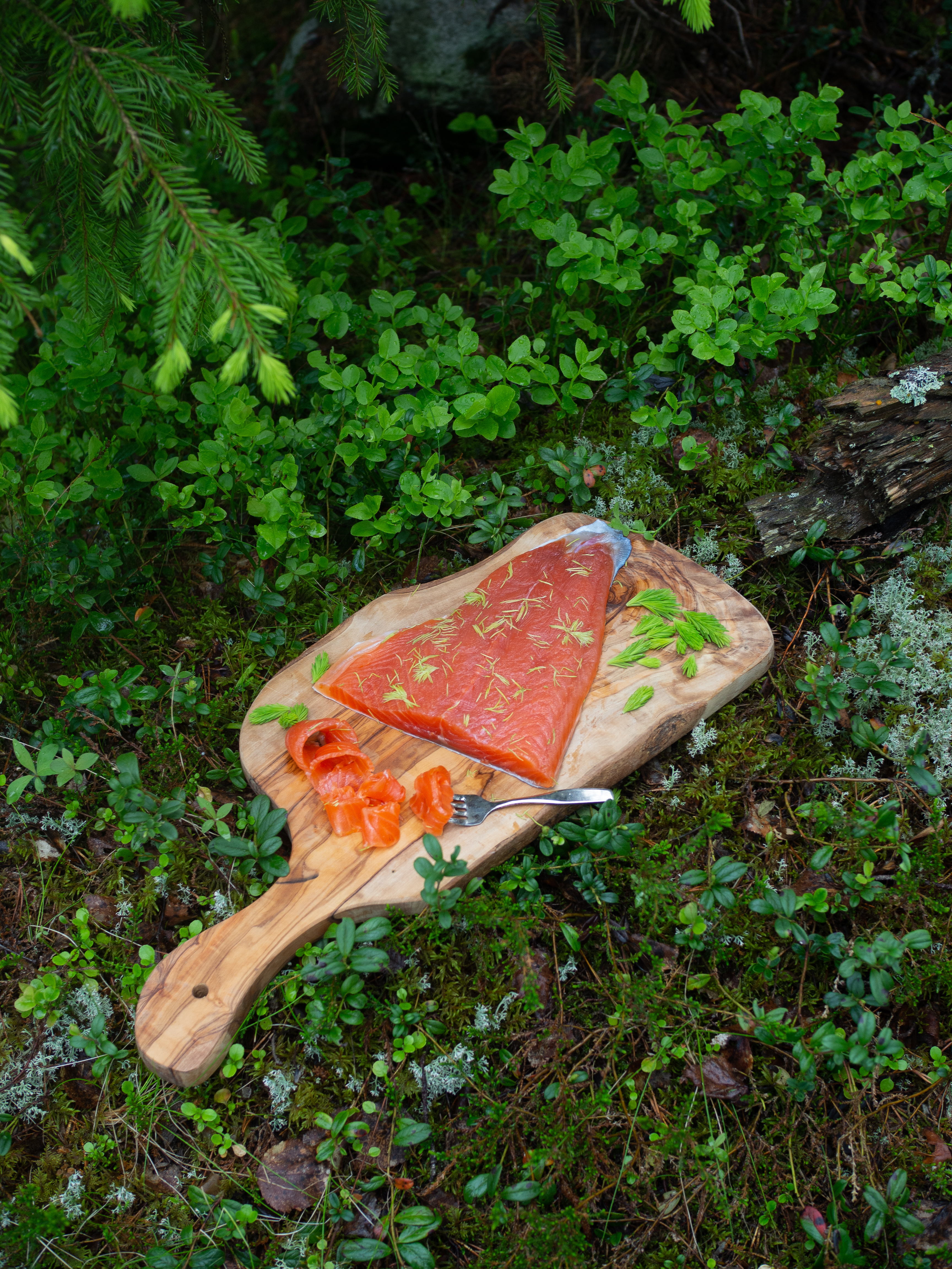 Cured Trout with Spruce Tiips (Gravet Orret med Grandskudd)