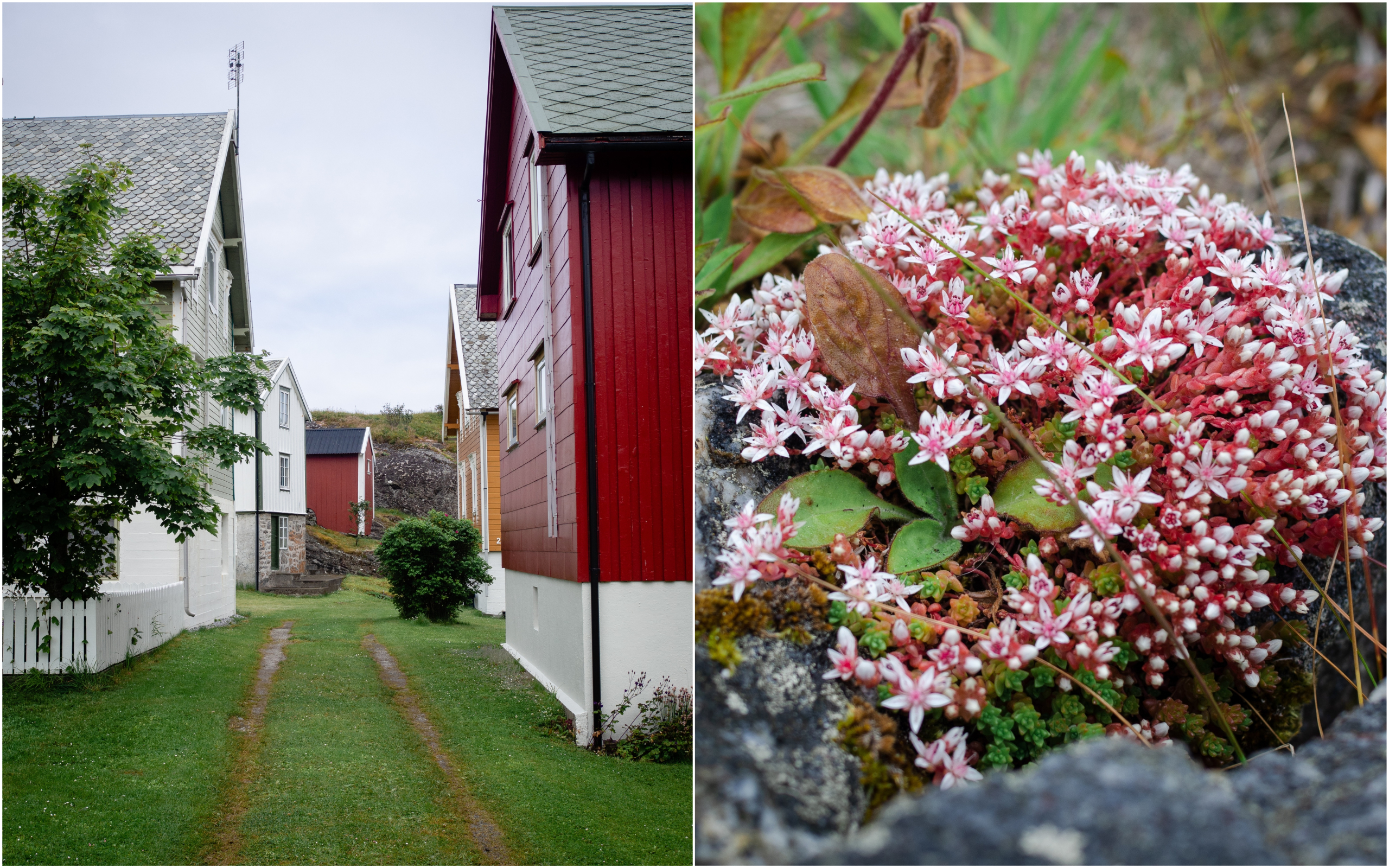 Ona, Norway and Crab Fishing