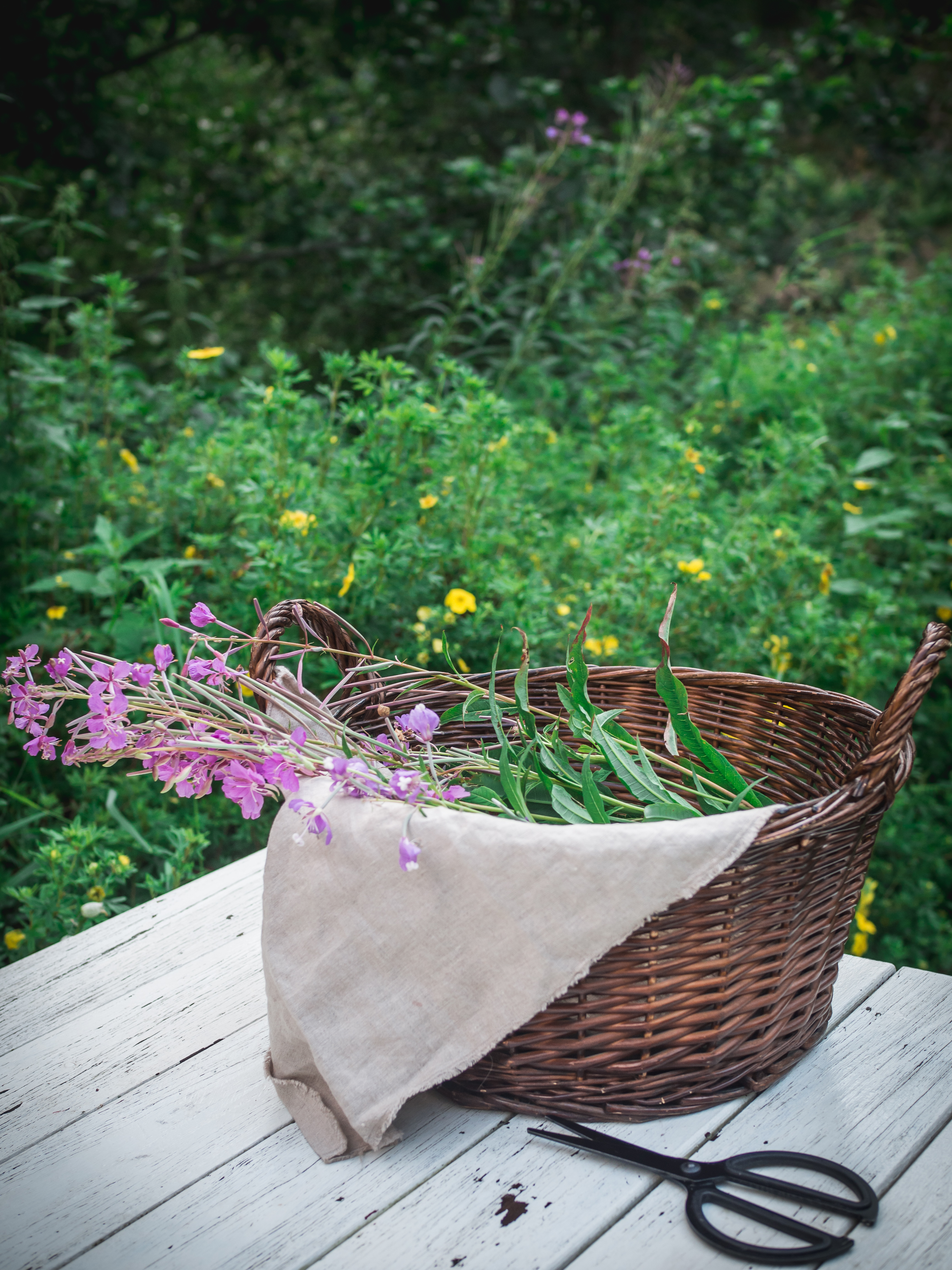 Fireweed Juice (Geitramssaft)