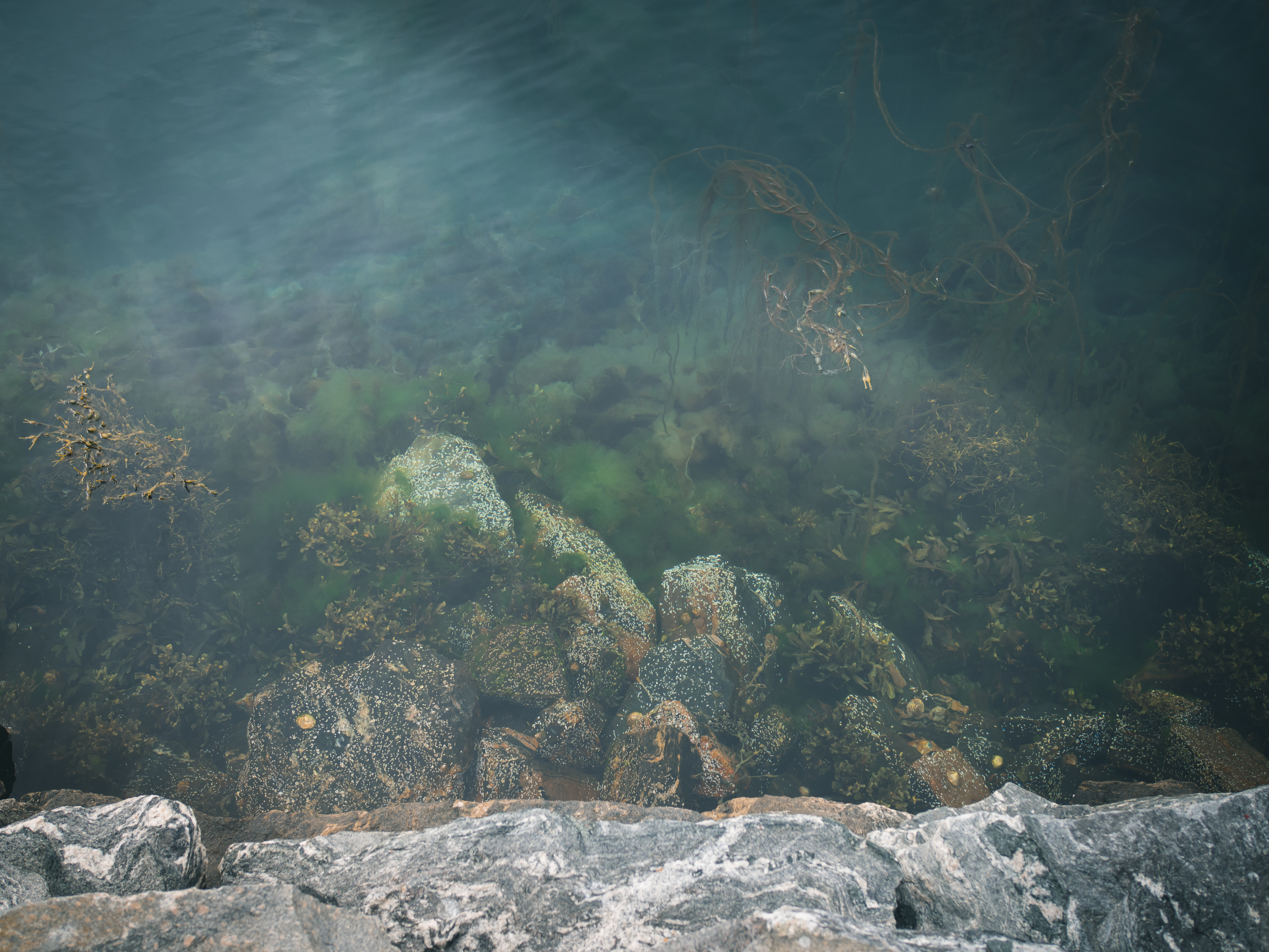 North Sea Salt Works