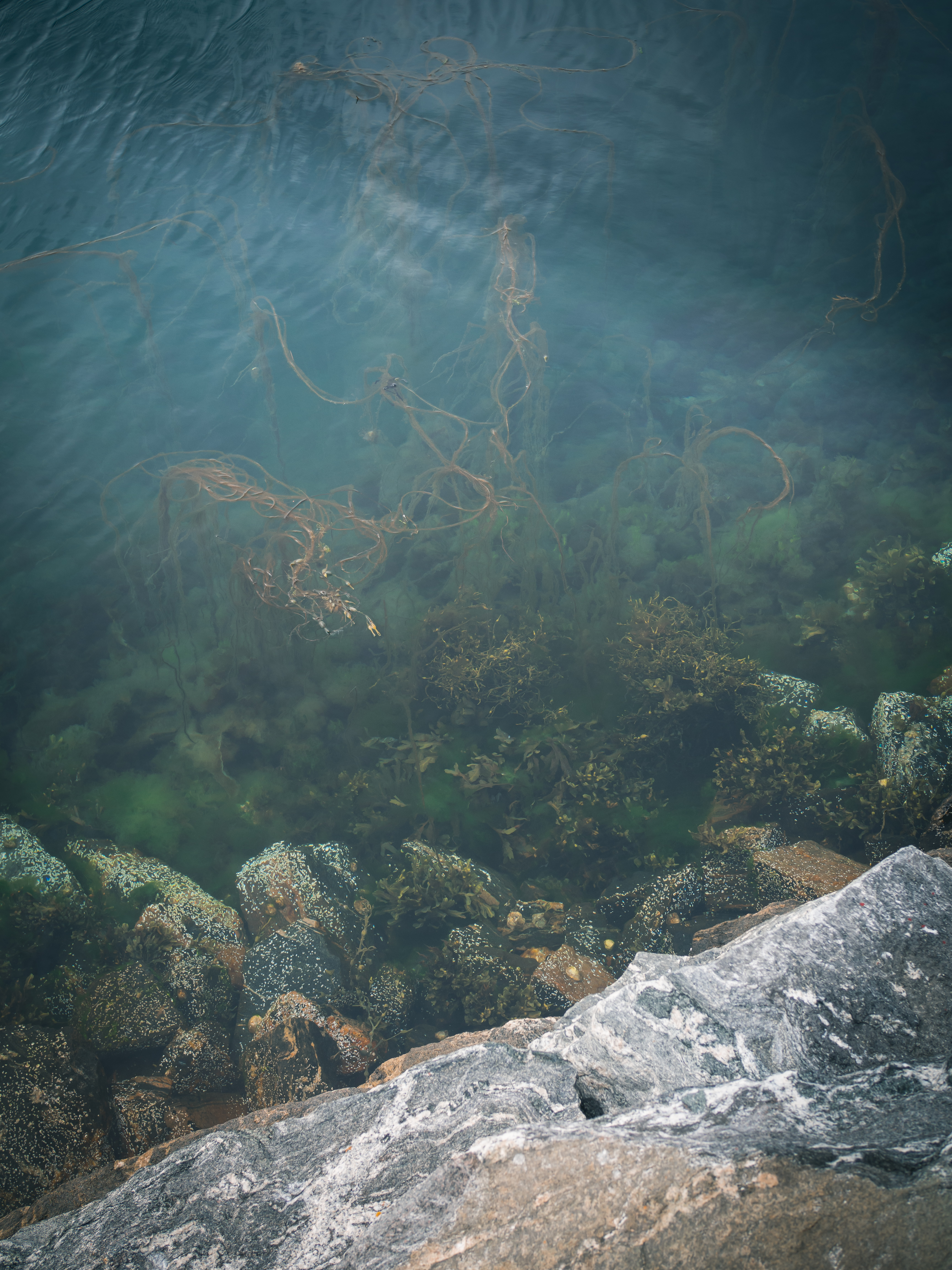 North Sea Salt Works