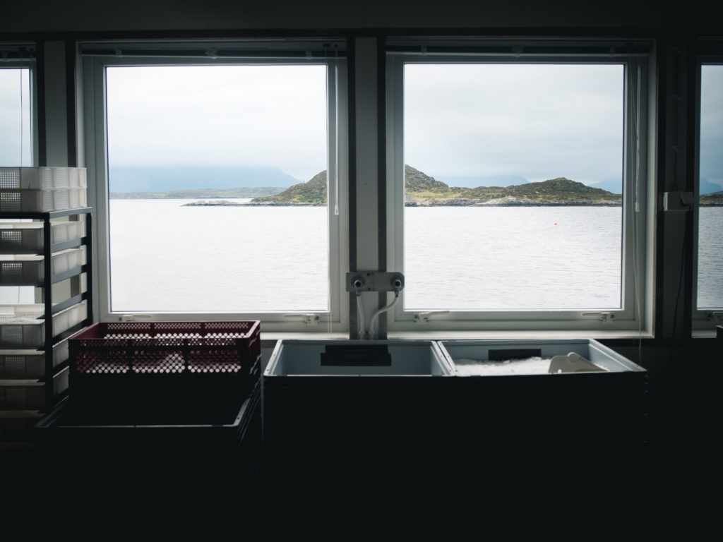 North Sea Salt Works