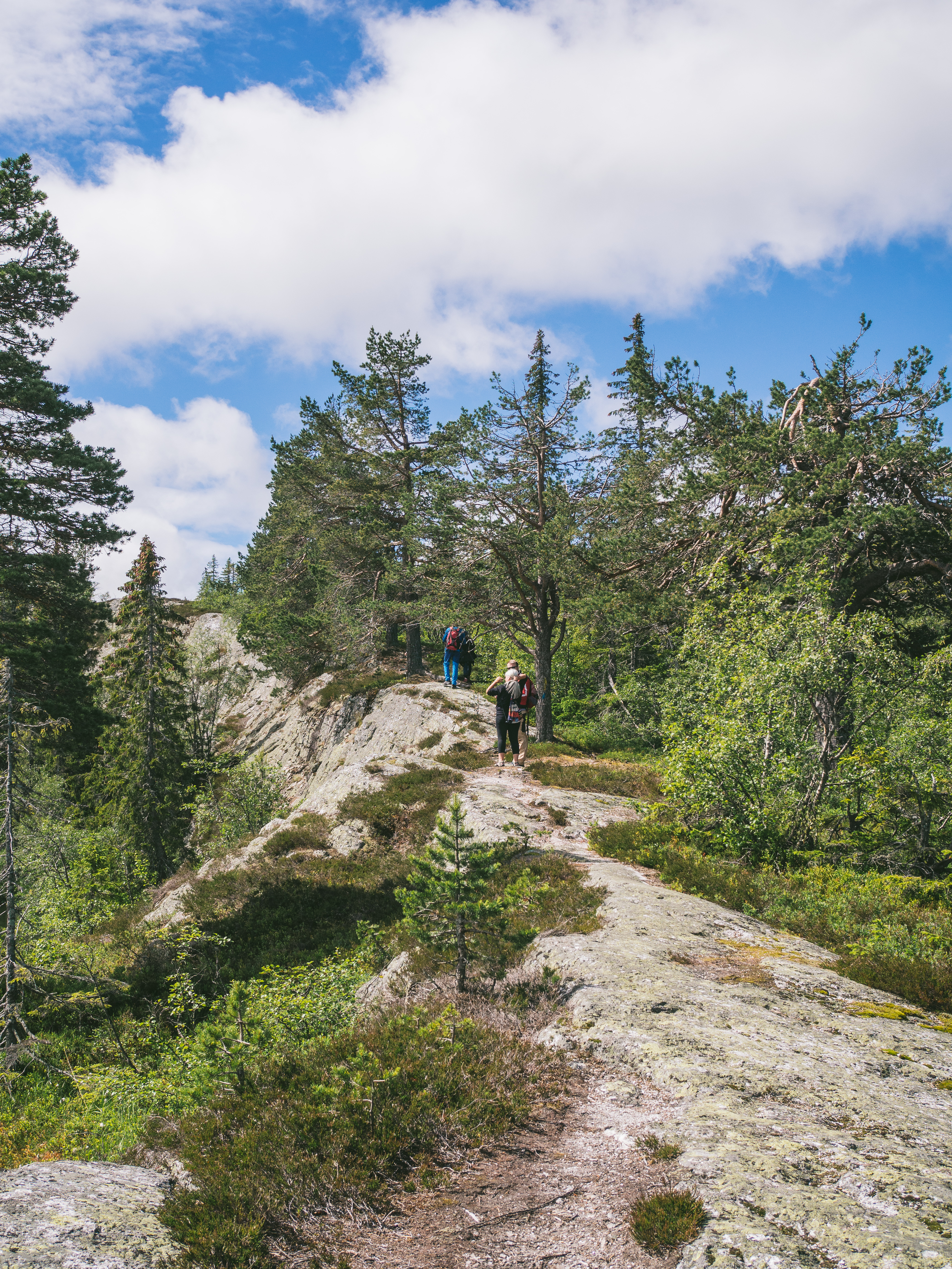 Friluftsliv - the Norwegian concept of getting outdoors