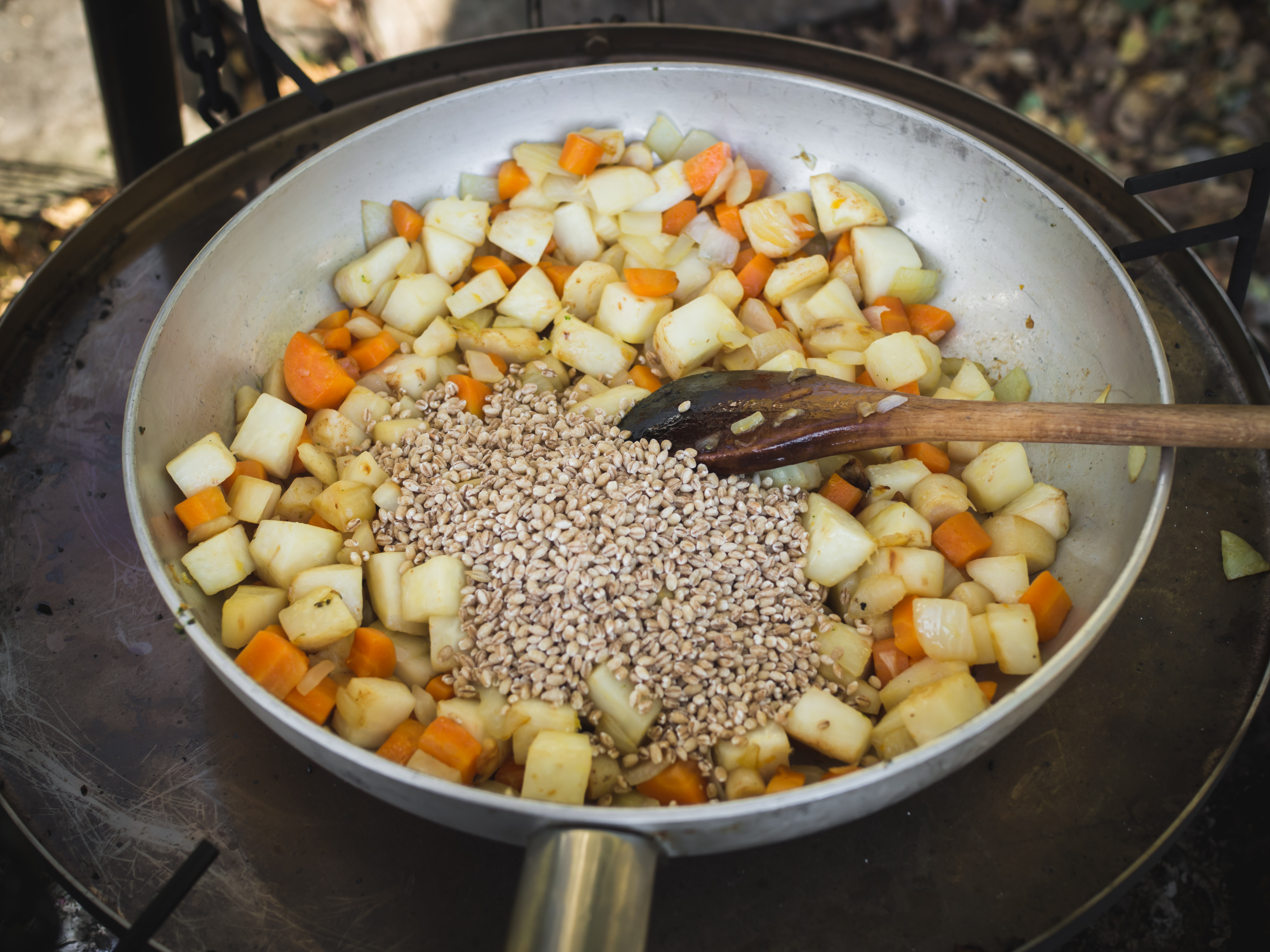 Root Vegetable & Barley Stew