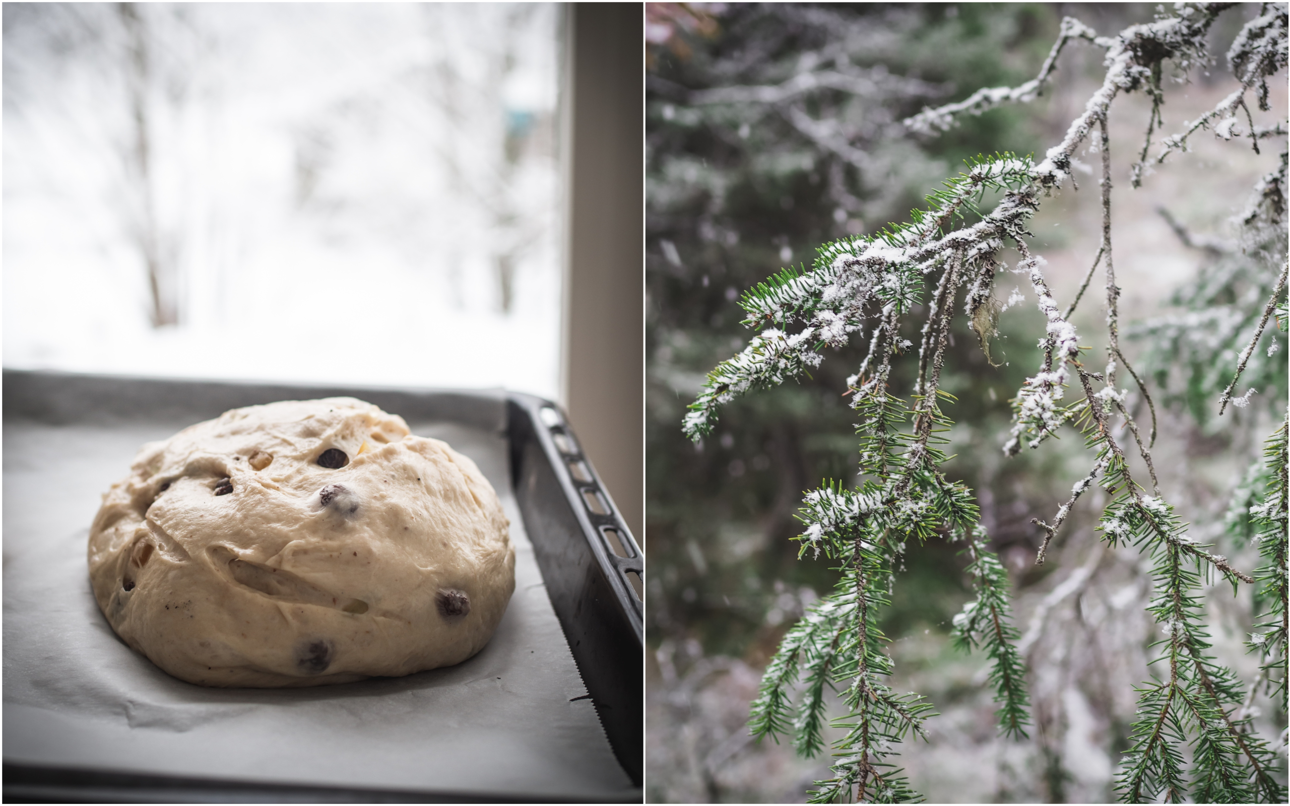 Julekake (Norwegian Christmas Bread)