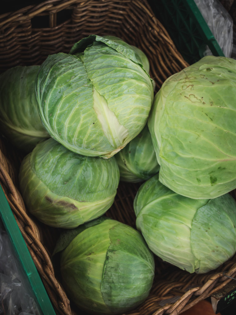 Green Cabbage the main ingredient in Norwegian sweet and sour cabbage "surkål"