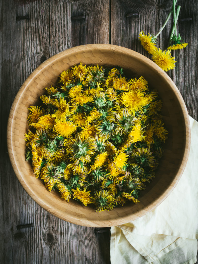 Dandelion Syrup (løvetannsirup)