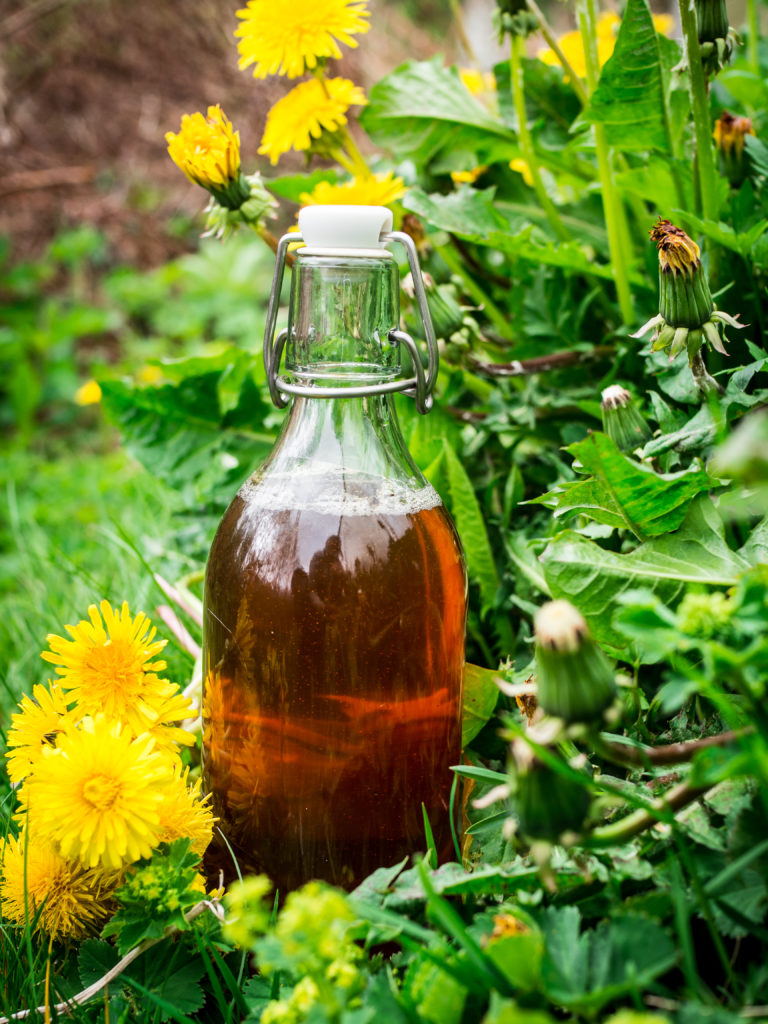 Dandelion Syrup (løvetannsirup)