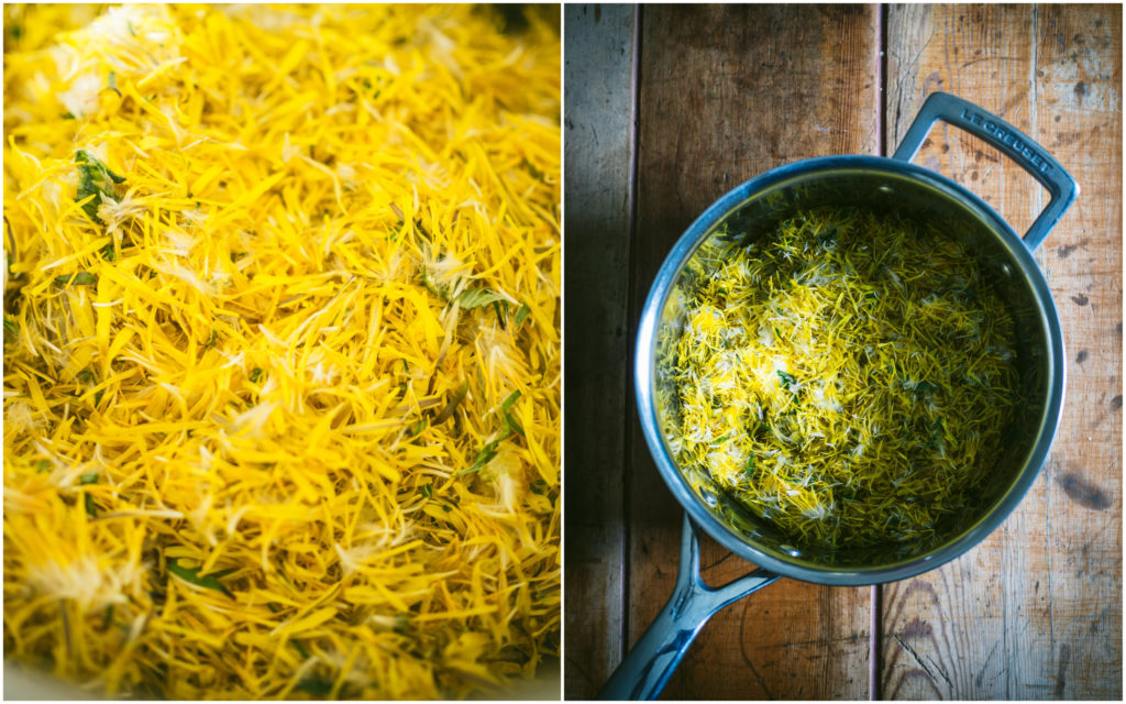 Dandelion Syrup (løvetannsirup)